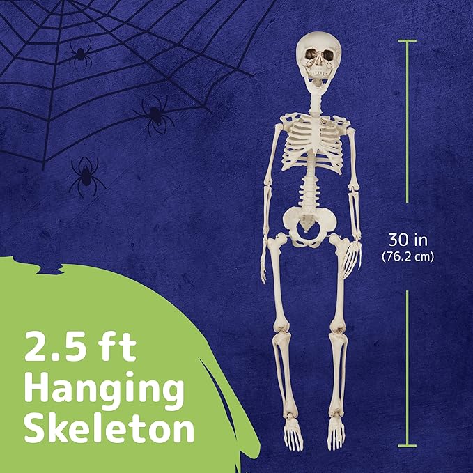 Halloween Skeleton for Halloween D&#xE9;cor &#x26; Day of The Dead D&#xE9;cor - 2.5 ft Full Size Halloween Plastic Skeleton with Movable Joints for Best Halloween Skeletons Decoration - Indoor &#x26; Outdoor