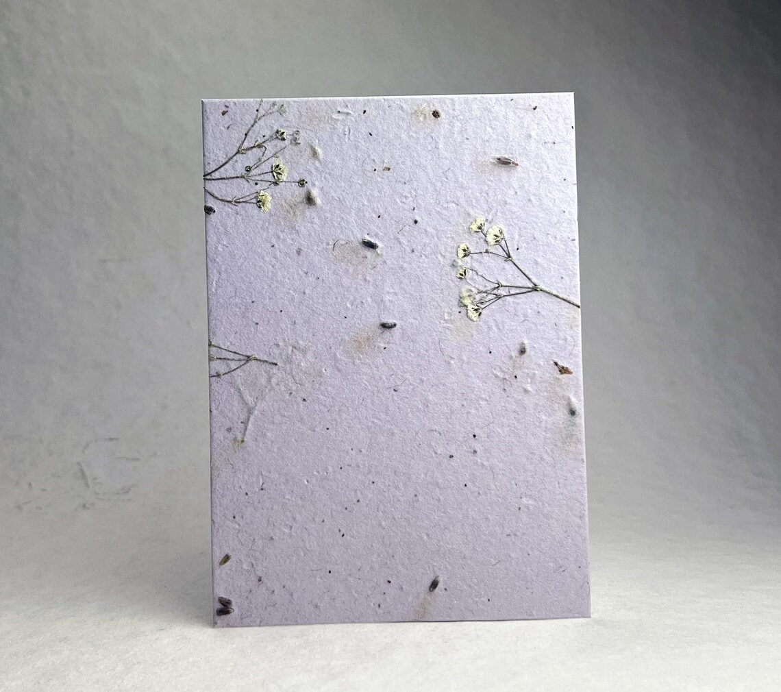 Wildflower Seed Paper Card Stock Sheet - Cotton Paper Embedded with Petals  and Seeds - 8.5" x 11" - Set of 8 | MakerPlace by Michaels