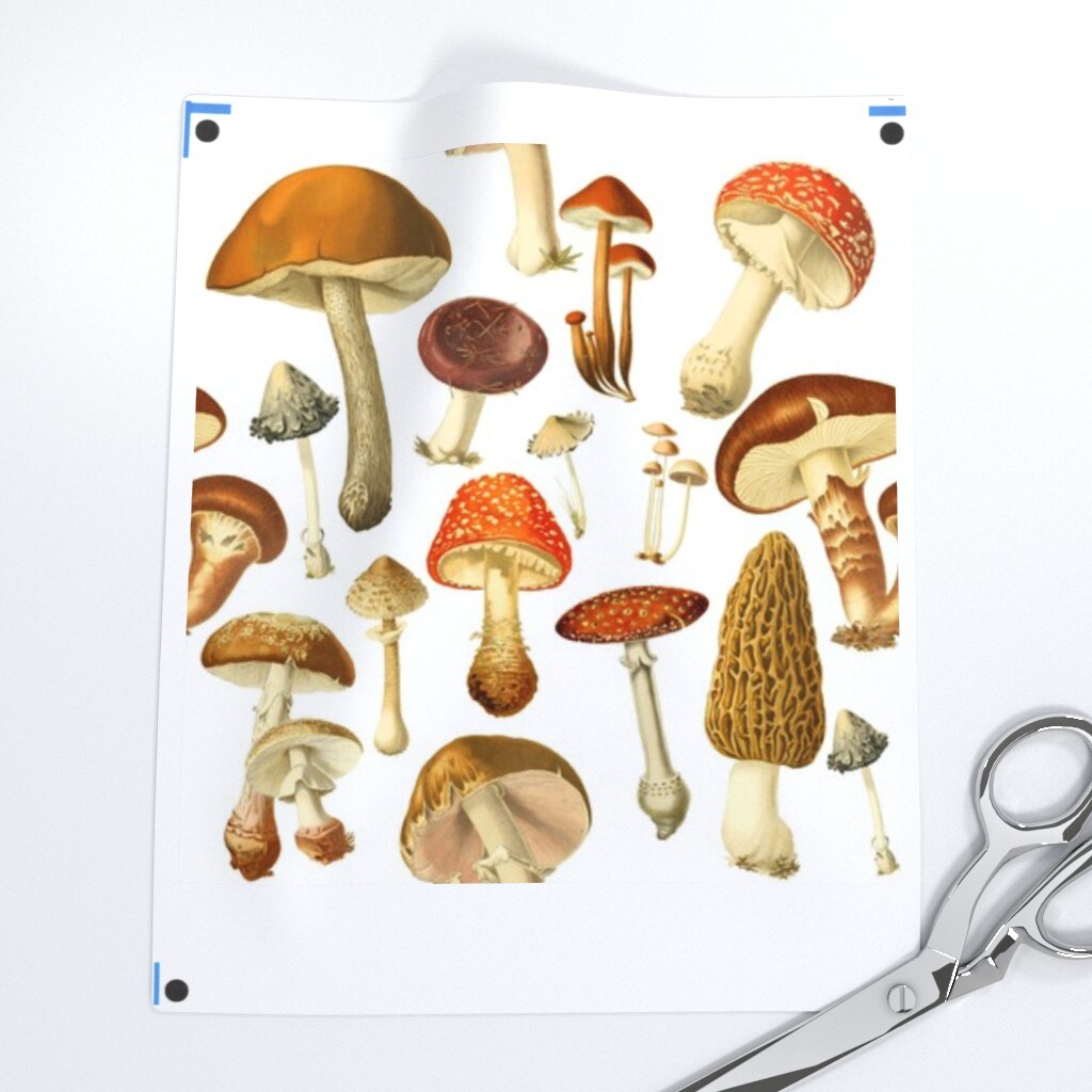 Vintage Botanical Botanicals Mushrooms Illustration Nature Art Natural Science Custom Removable Wallpaper by Spoonflower Peel & Stick Wallpaper 2FT Wide
