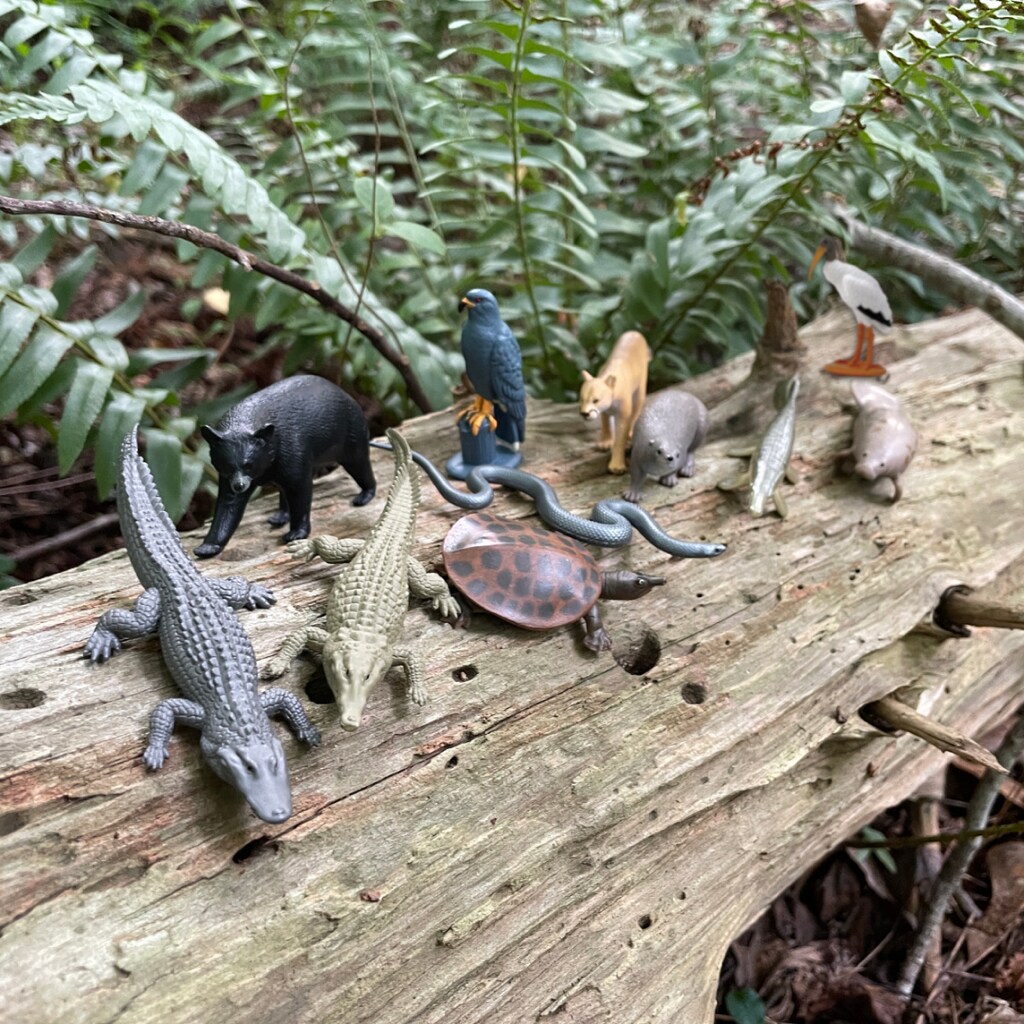 Everglades TOOB - Mini Animal Figurines for Kids, Boys and Girls