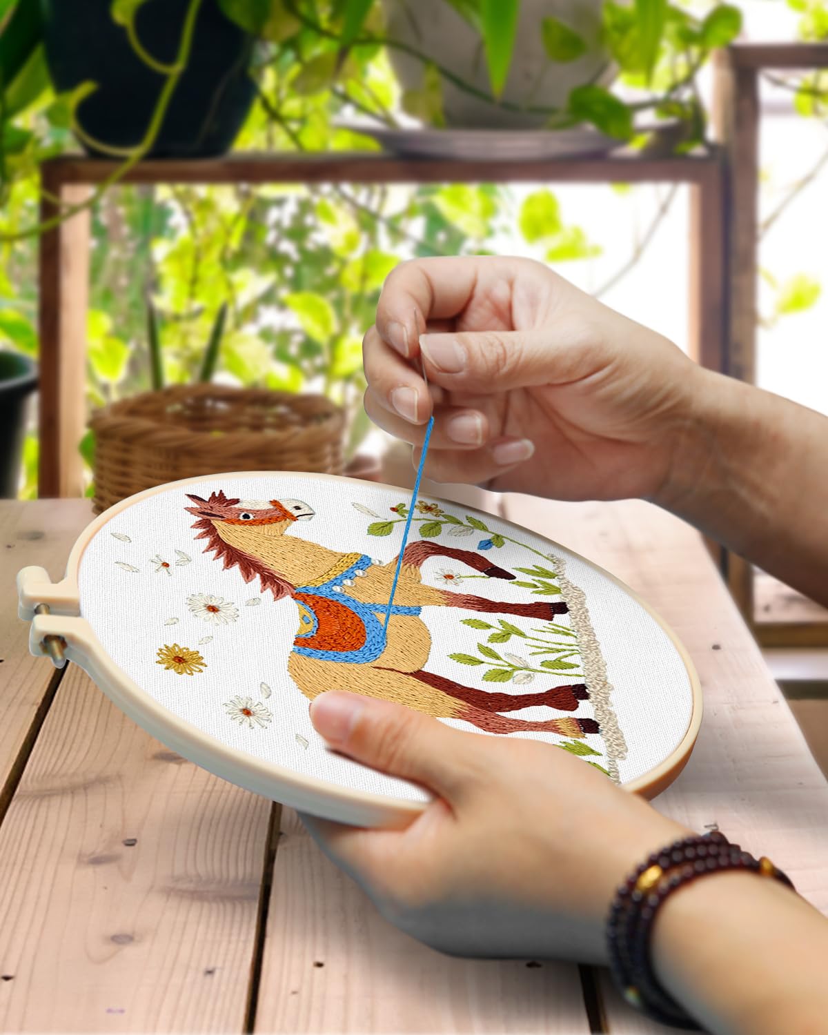 Embroidery Kit for Adult, 3 Pack Embroidery DIY Starter Kit, with Stamped Patterns, Hoop, Tools, Colorful Threads with Needles, Instructions