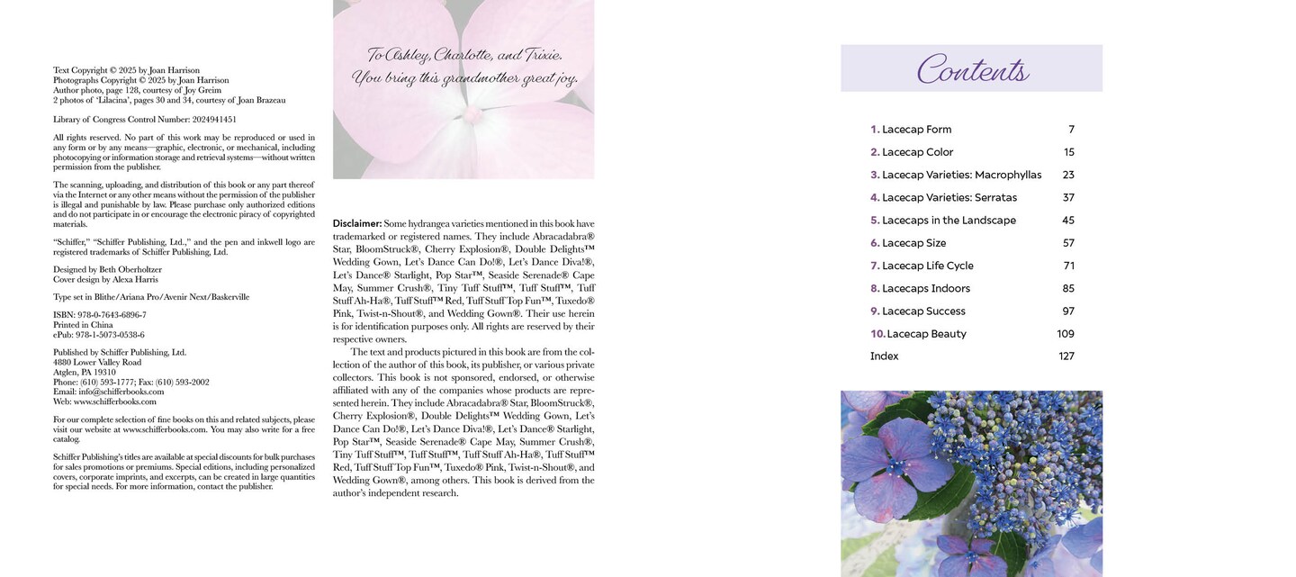 Lovely Lacecap Hydrangeas: Elegant Accents for the Home Garden