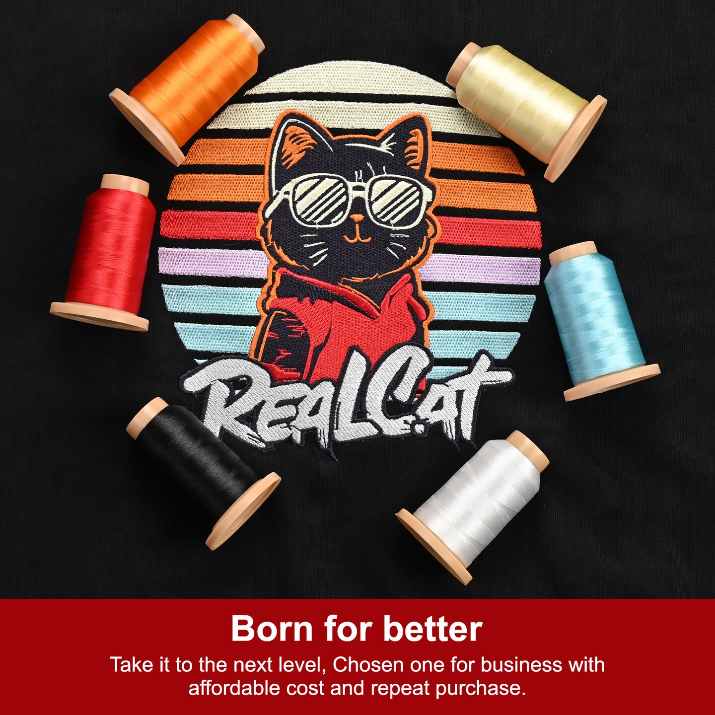 Richword Selected 800M 40/60/80 Colors Embroidery Machine Thread,40WT(108D/2) Polyester Embroidery Machine Thread Set for Embroidery Machines and Sewing Machines