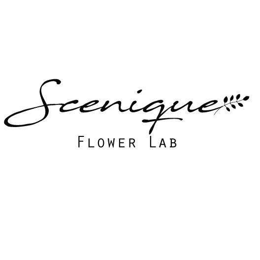 storefront logo