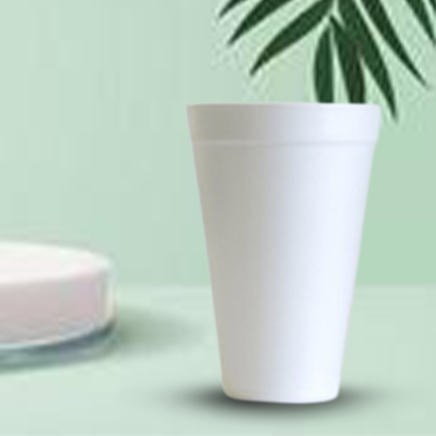 42 Count Large 16 OZ Foam Cups Disposable Hot and Cold Drinkware