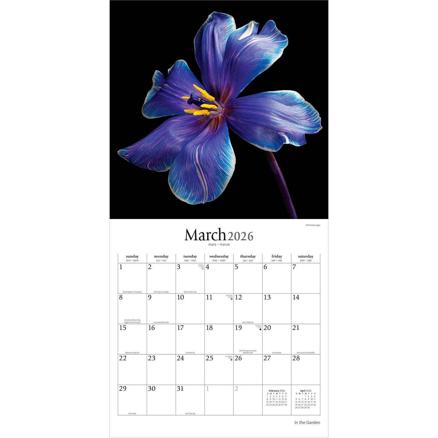 In the Garden | 2026 12 x 24 Inch (Hanging) Monthly Square Wall Calendar | Plastic-Free