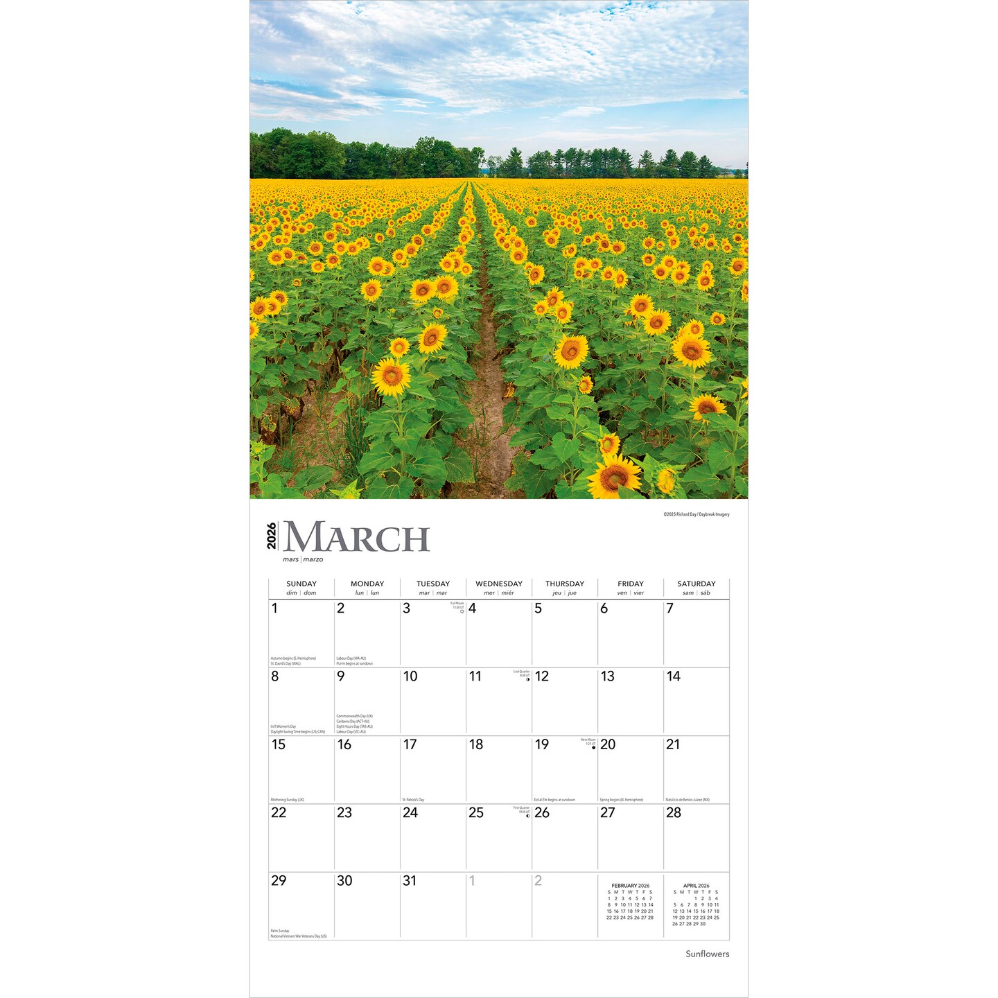 Sunflowers | 2026 12 x 24 Inch (Hanging) Monthly Square Wall Calendar | Plastic-Free