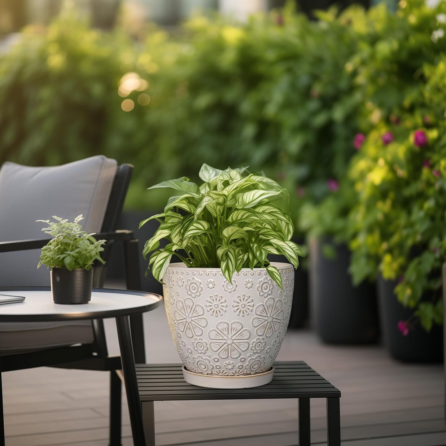 Ceramic Planter with Drainage Hole and Saucer Ceramic Pots - 8 Inch, Petit-flower Petal White