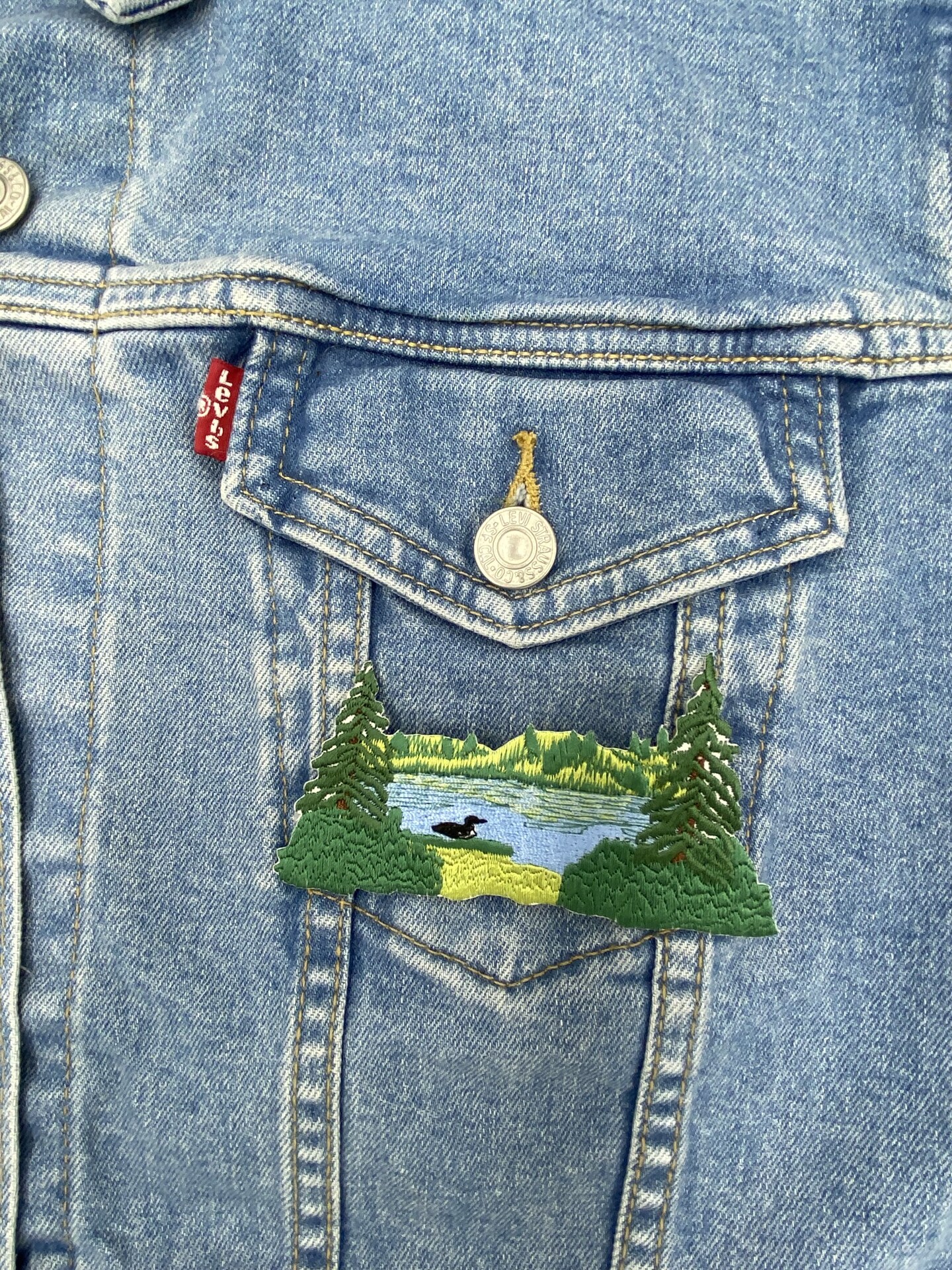 Lake Scene with Loon, Nature, Embroidered, Iron on Patch