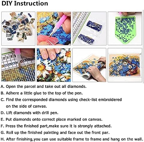 DIY Diamond Painting Red and Black Roses Full Square Drill Kits (Black,Clear)