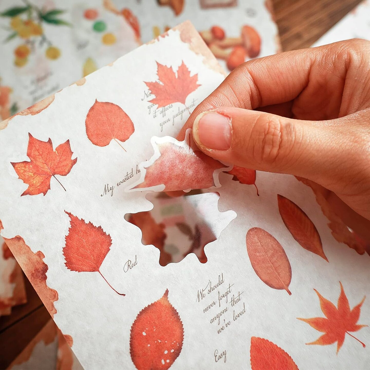 20 Sheets Nature Botanical Scrapbook Stickers - Leaf and Fruit (200 Pieces)