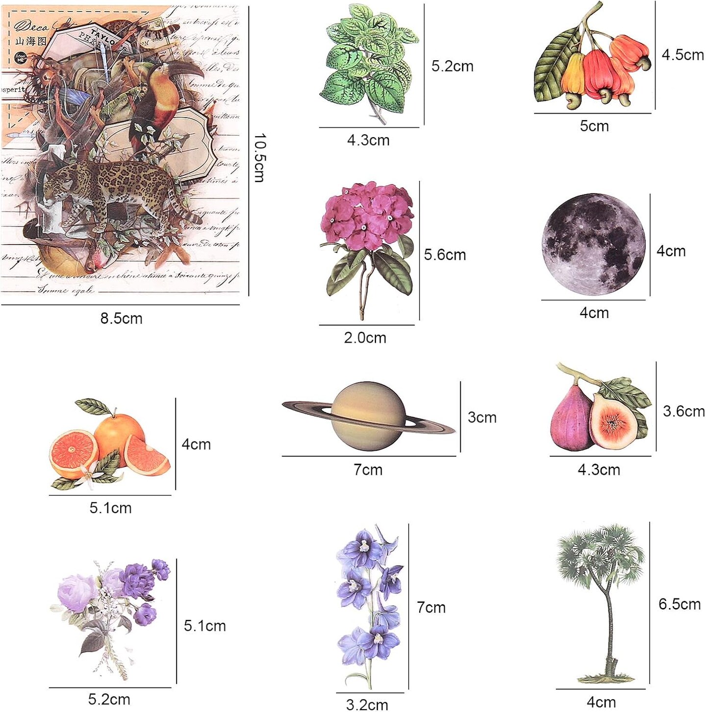 Pack of 240 Nature Themed Scrapbook Pre-Cut Stickers (Multicolor) 7.1 x 4.5 x 0.39 inches