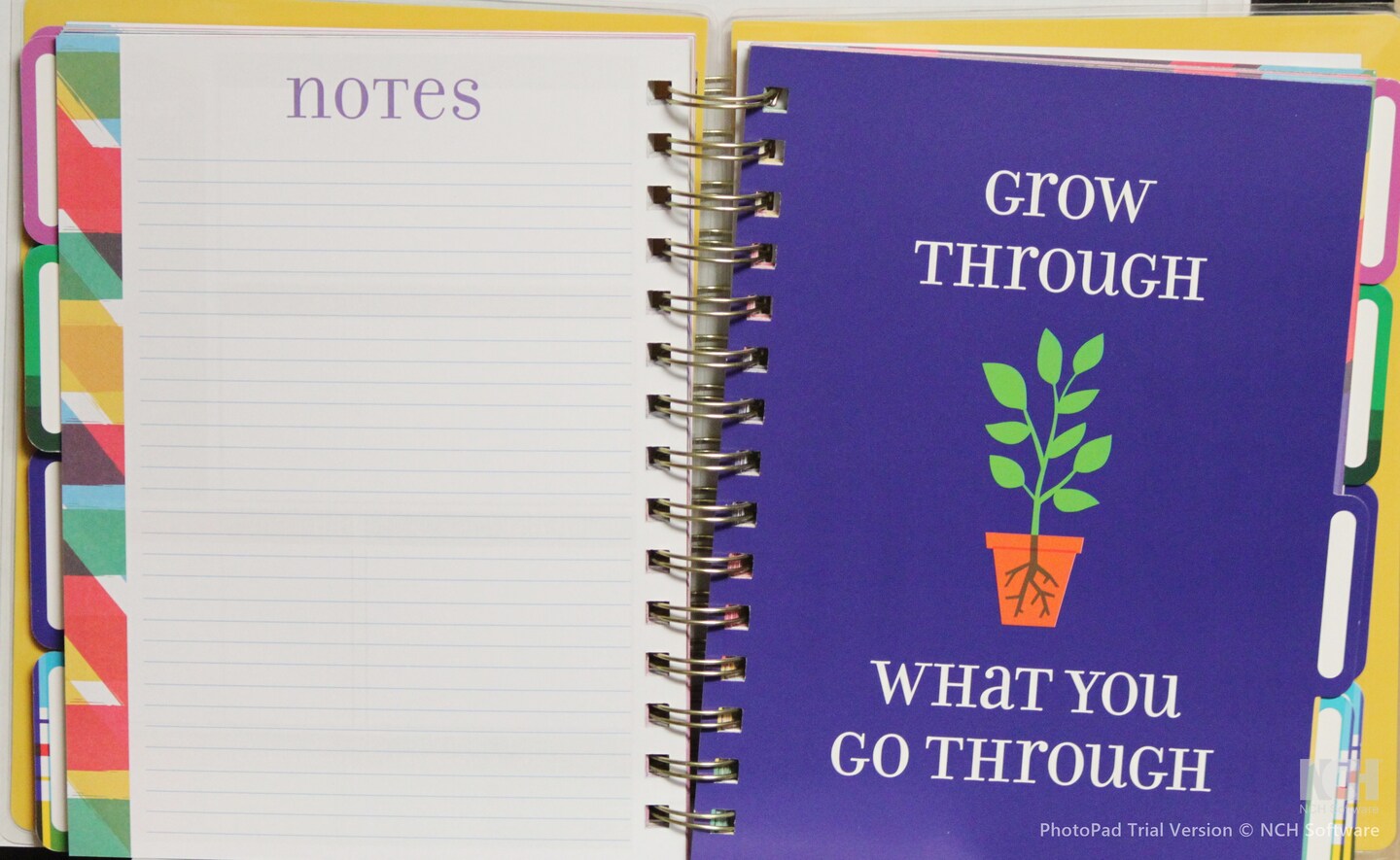 Pen + Gear Undated Weekly/Monthly Planner