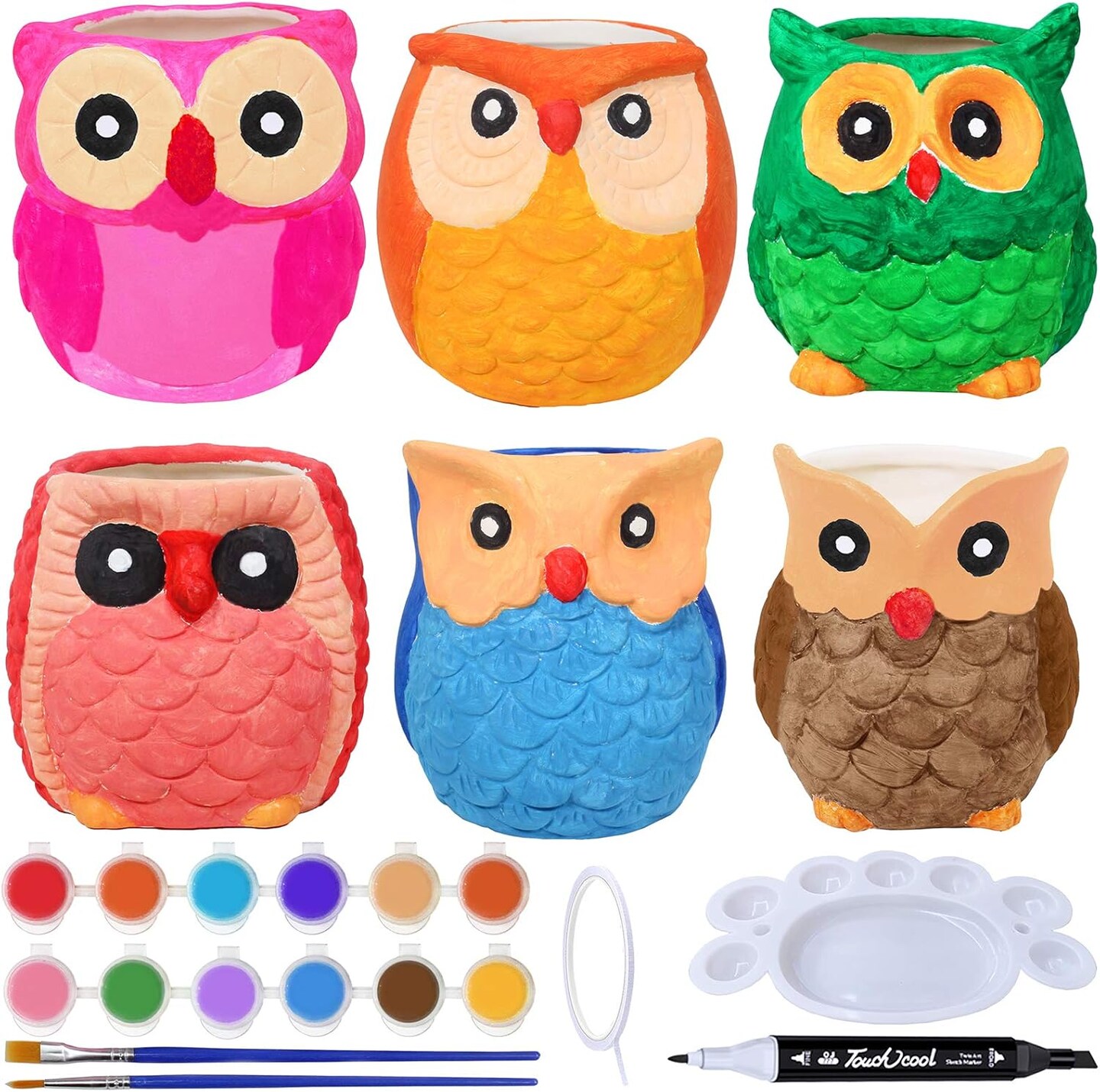 6 Sets DIY Ceramic Owl Succulent Pots Paint Craft Kit