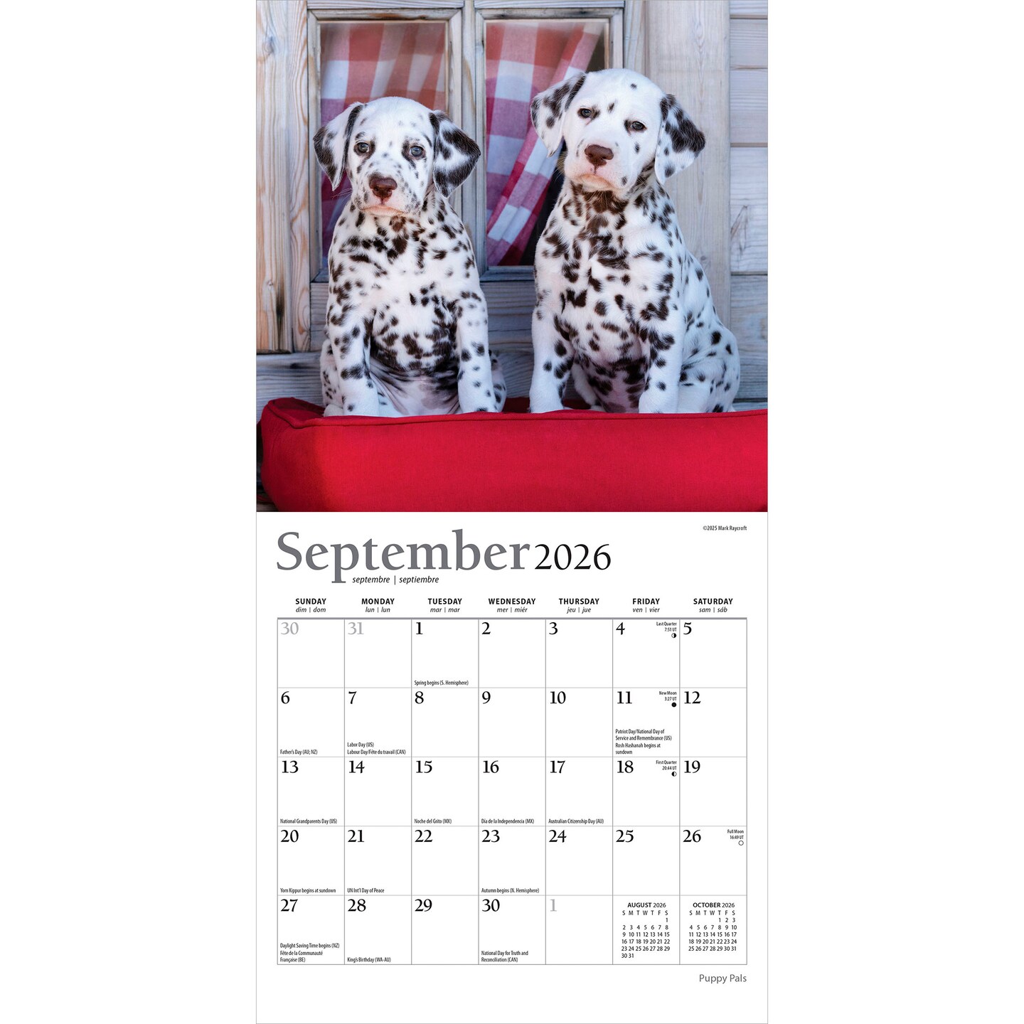 Puppy Pals | 2026 7 x 14 Inch (Hanging) Monthly Mini Wall Calendar | Foil Stamped Cover