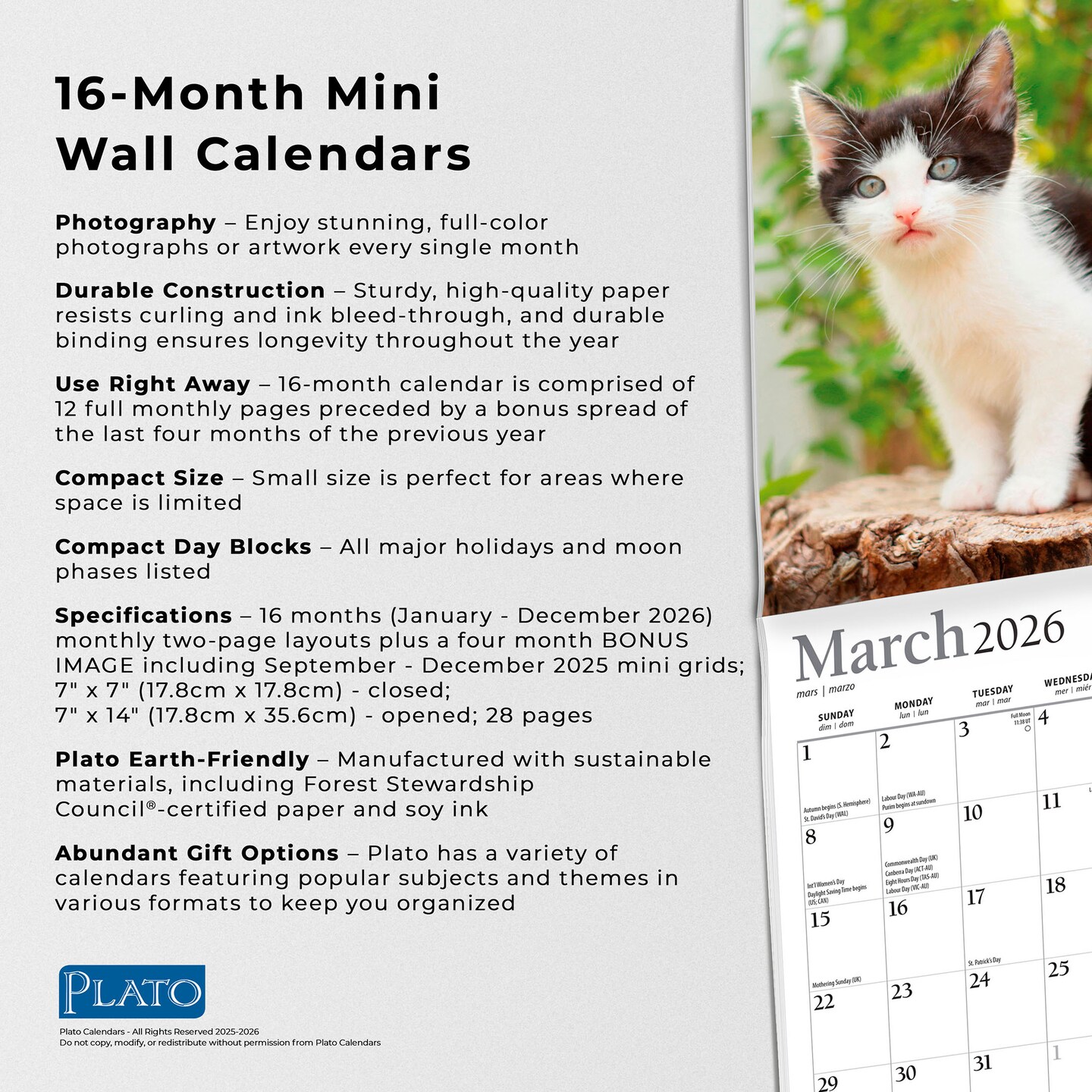 For the Love of Kittens | 2026 7 x 14 Inch (Hanging) Monthly Mini Wall Calendar | Foil Stamped Cover