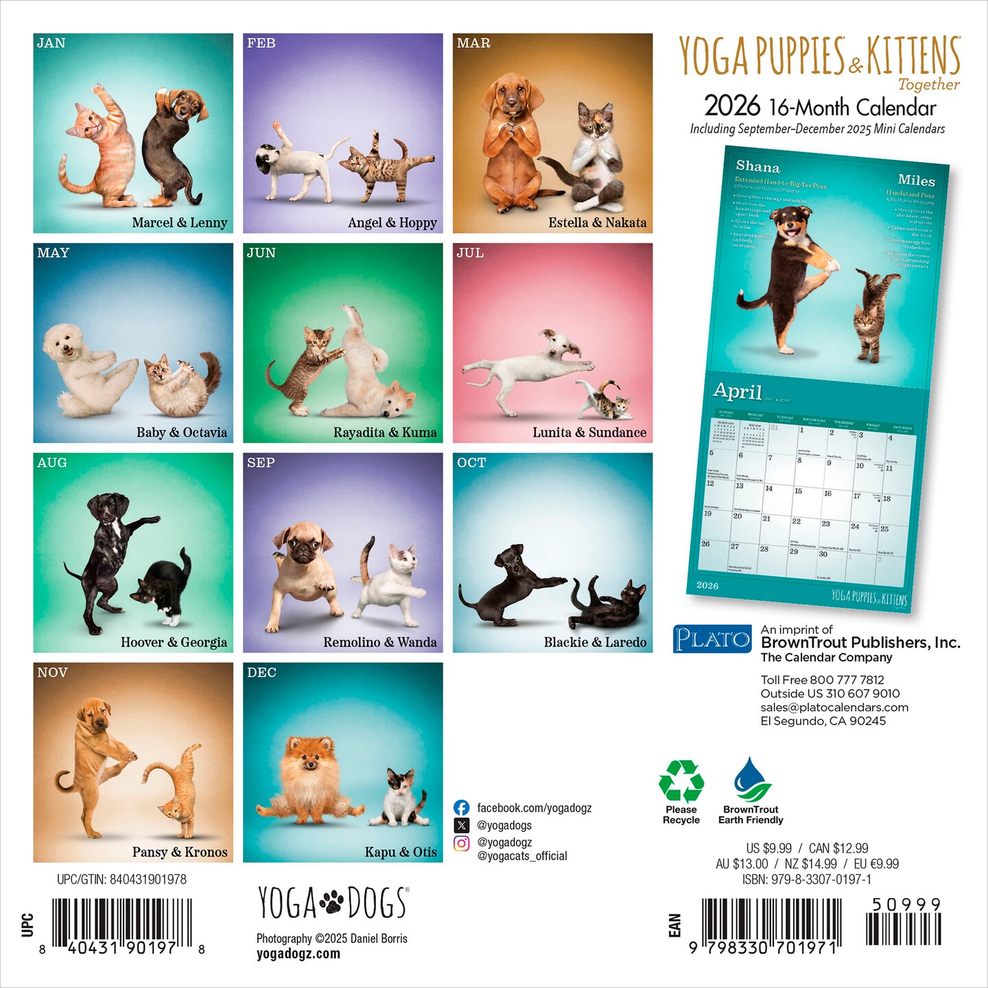Yoga Puppies &#x26; Kittens Together OFFICIAL | 2026 7 x 14 Inch (Hanging) Monthly Mini Wall Calendar