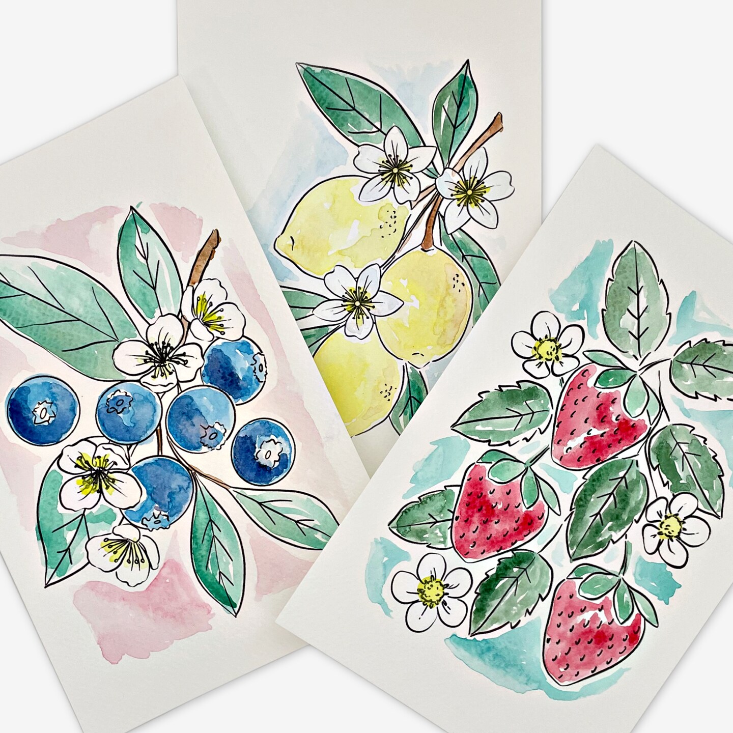 3PK Fruit Watercolor Paint Kit with Sketches, Brush and Palette