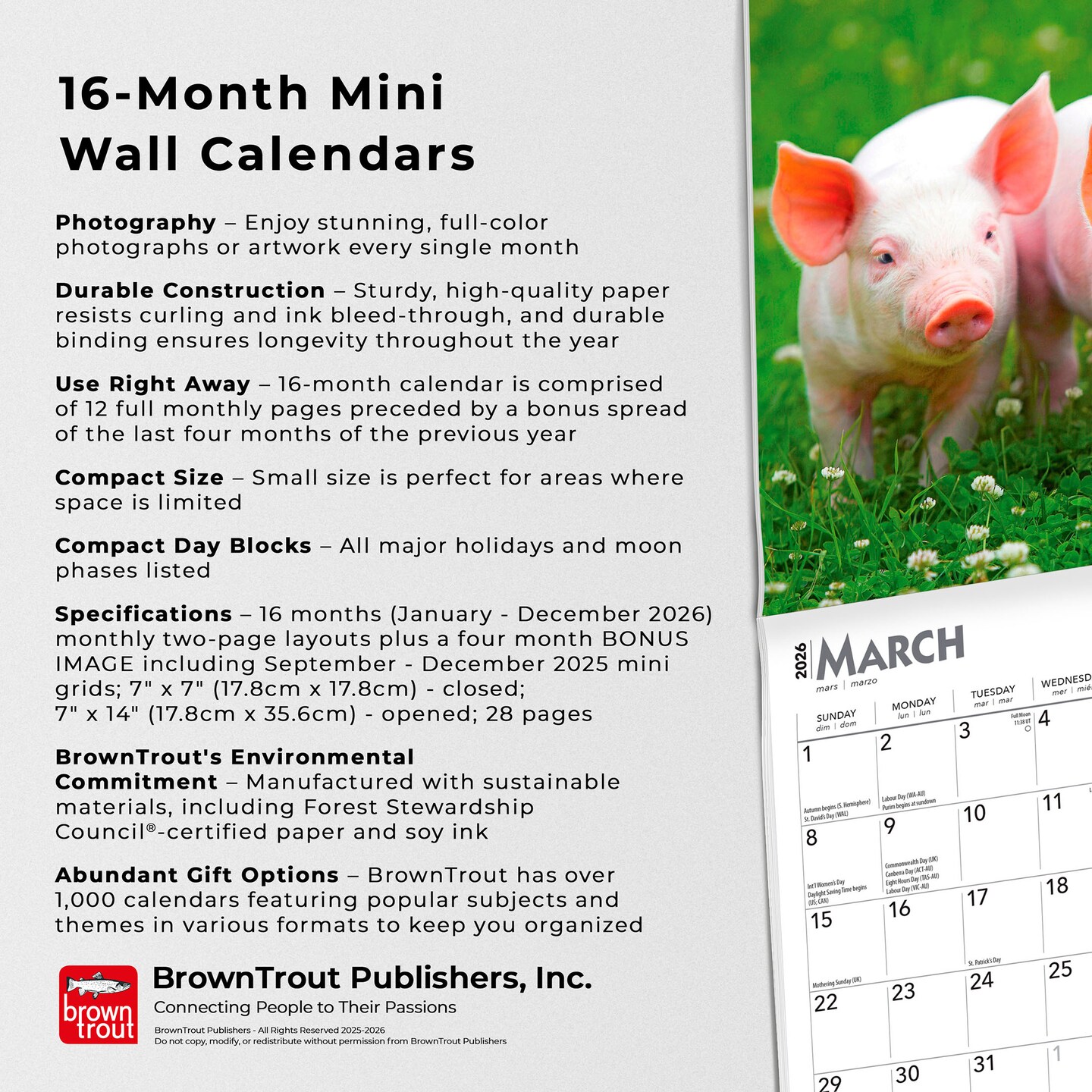 Piglets | 2026 7 x 14 Inch (Hanging) Monthly Mini Wall Calendar