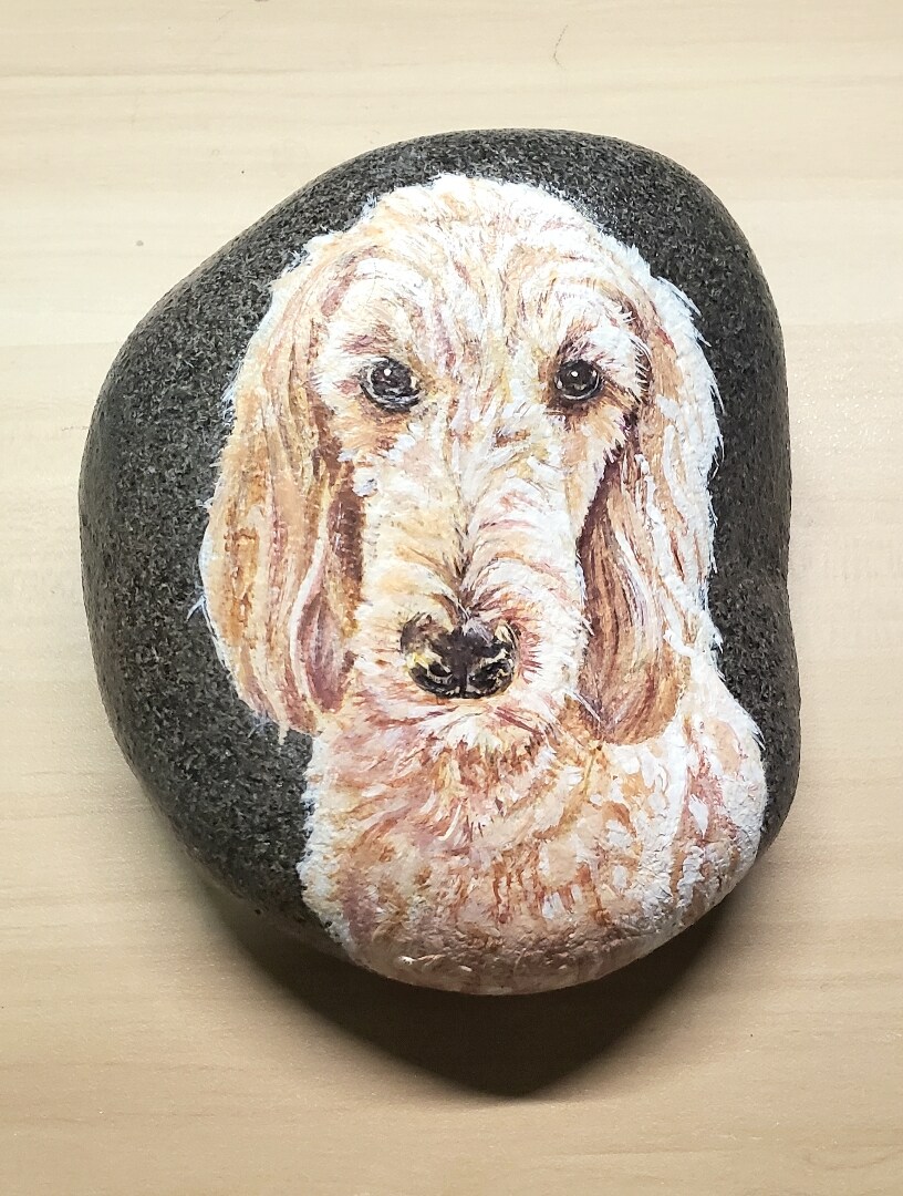 Pet portrait on rock Custom hand painted realistic and detailed cat or  dog portrait on a stone from your size: (2 pets)