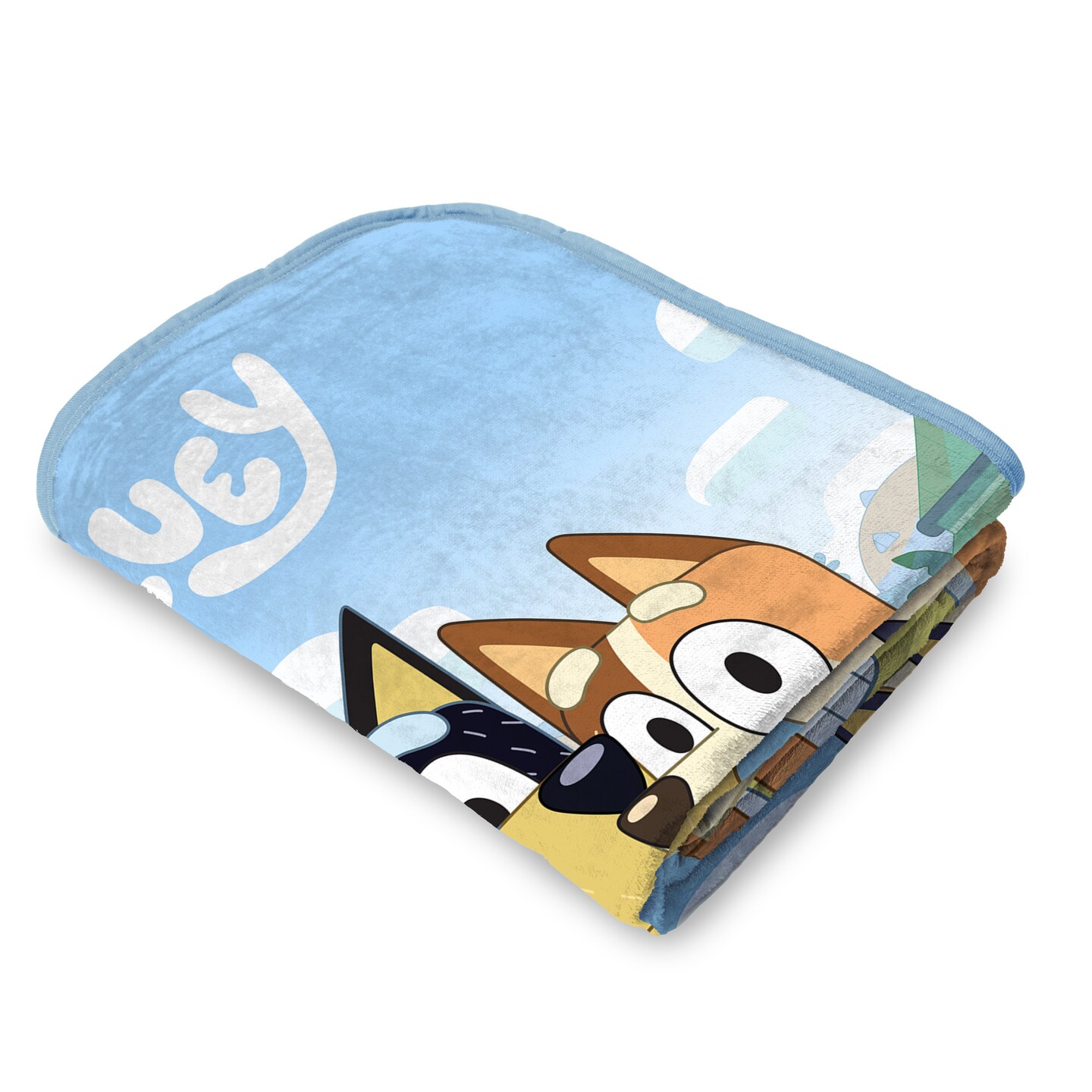 Bluey Family Photo Micro Raschel Throw Blanket 48&#xD7;60 Inches