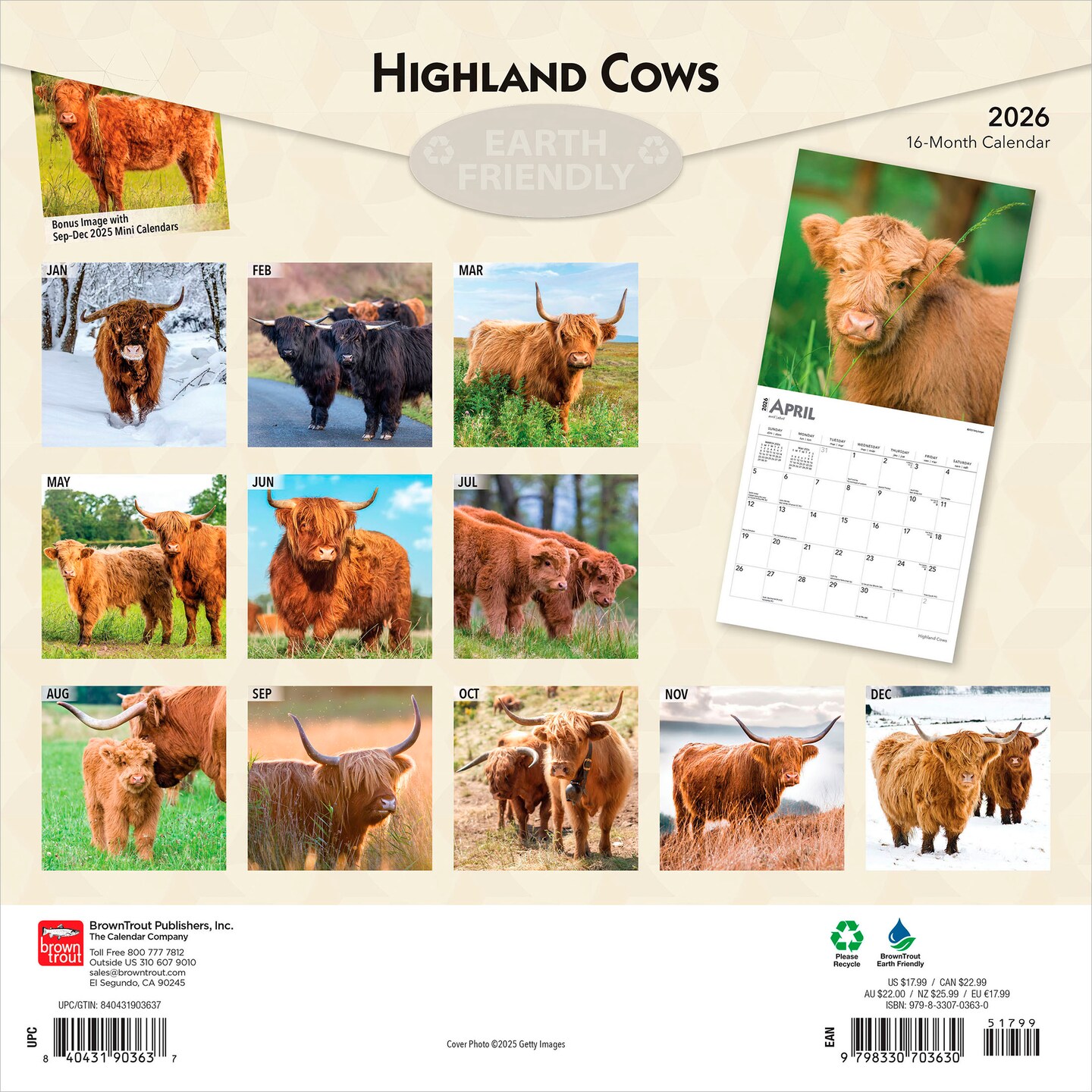 Highland Cows | 2026 12 x 24 Inch (Hanging) Monthly Square Wall Calendar | Plastic-Free