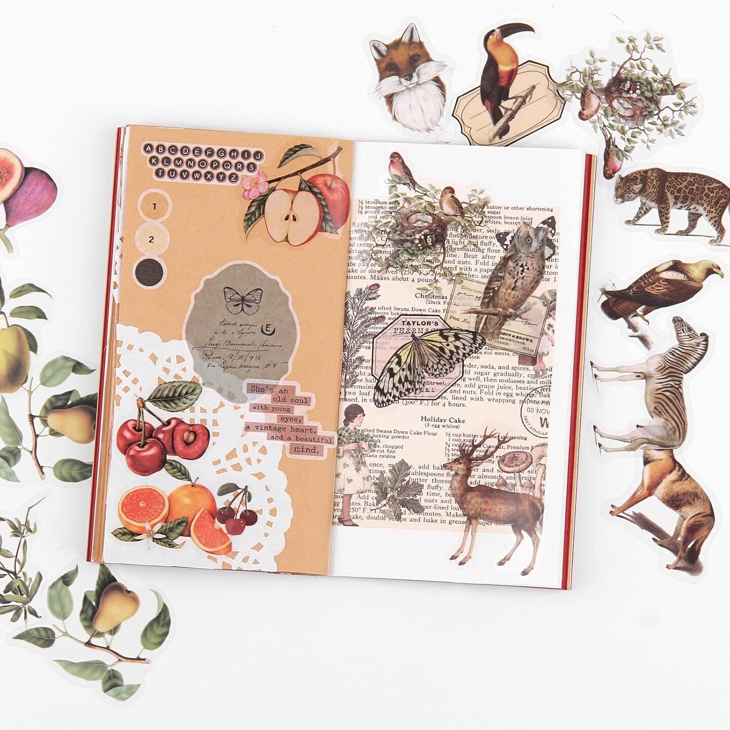 Pack of 240 Nature Themed Scrapbook Pre-Cut Stickers (Multicolor) 7.1 x 4.5 x 0.39 inches
