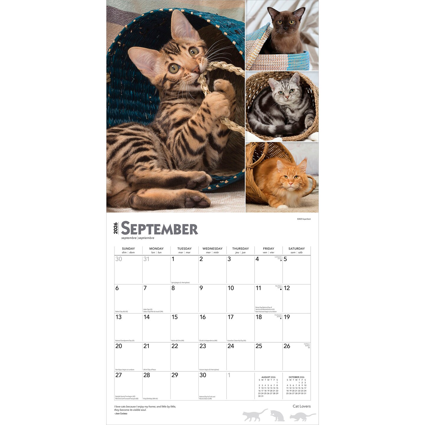 Cat Lovers | 2026 12 x 24 Inch (Hanging) Monthly Square Wall Calendar | Foil Stamped Cover | Plastic-Free