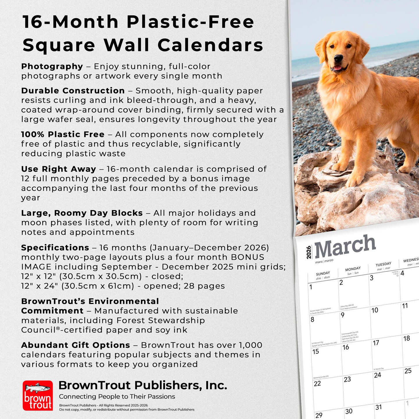 Golden Retrievers | 2026 12 x 24 Inch (Hanging) Monthly Square Wall Calendar | Foil Stamped Cover | Plastic-Free | BrownTrout | Animals Dog Breeds Retriever