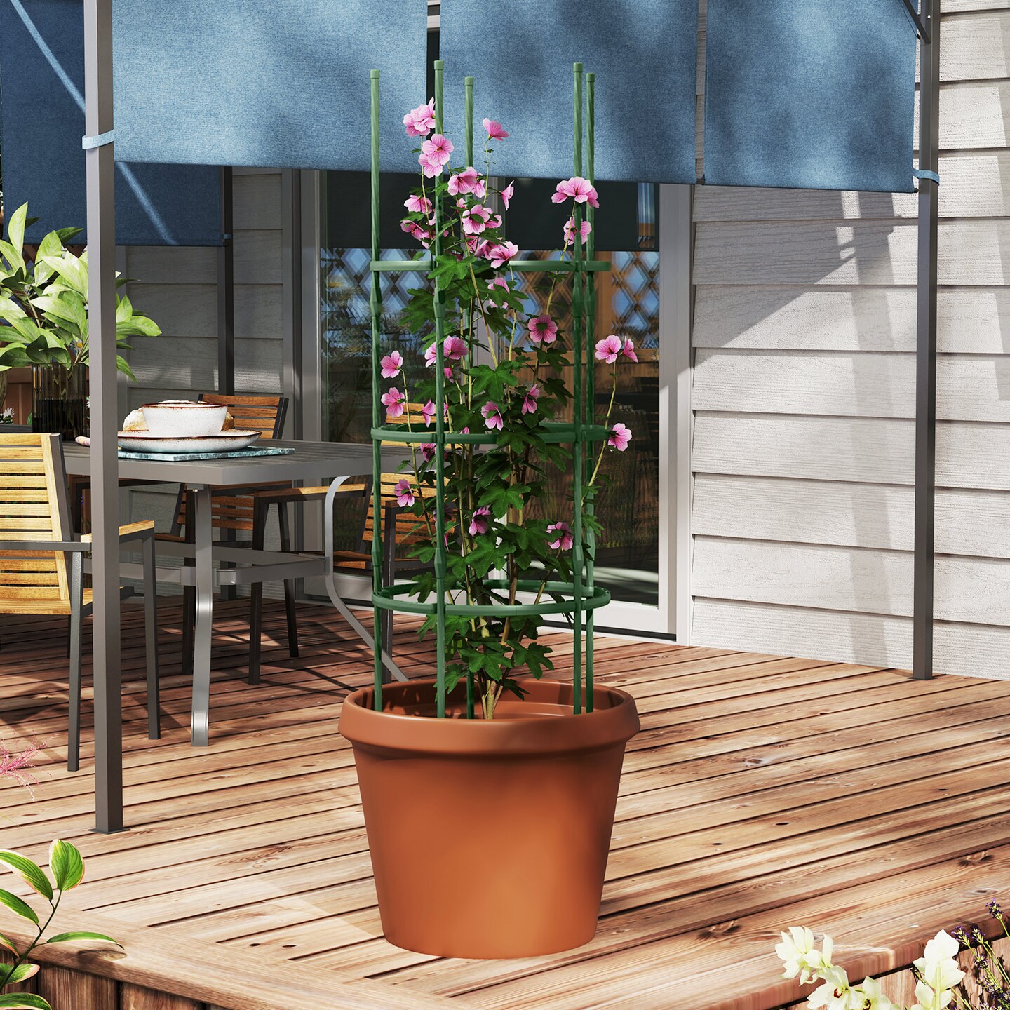 3 Pack Adjustable 60 Inch Plant Support Trellis for Climbing Plants