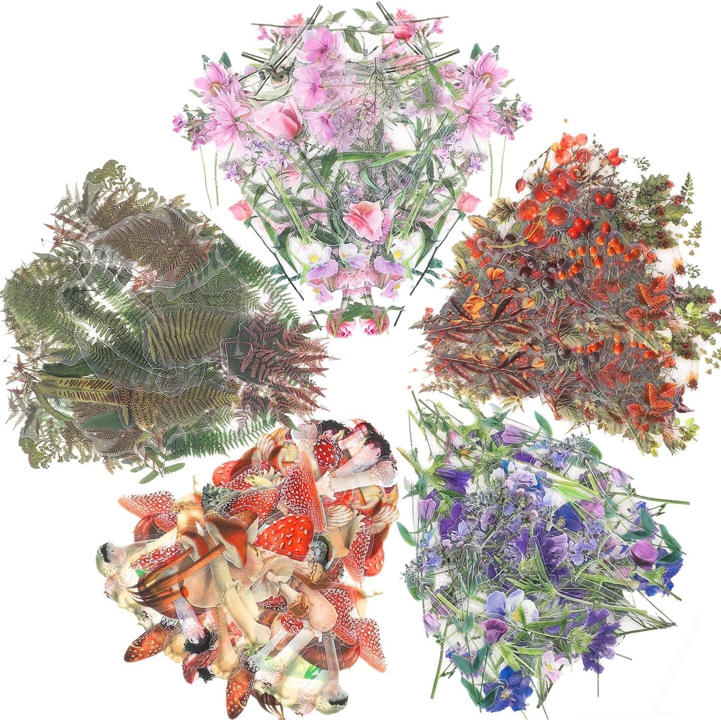 200 Pcs Floral Scrapbook Vintage Stickers (Mixed Style D) 9.4 x 6.3 x 0.4 inches