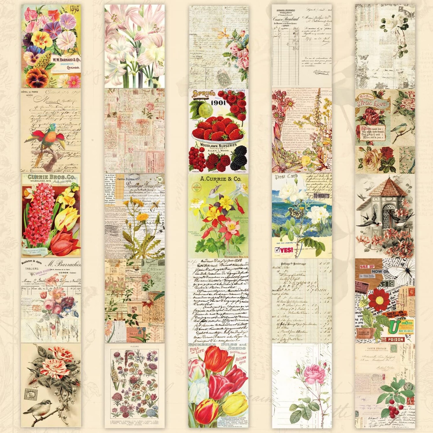537pcs Vintage Washi Scrapbook Stickers and Papers (Green) 3.94 x 3.94 x 3.94 inches