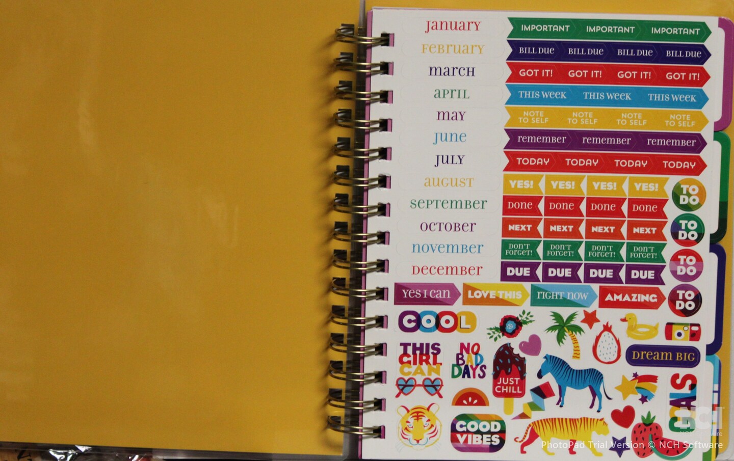 Pen + Gear Undated Weekly/Monthly Planner