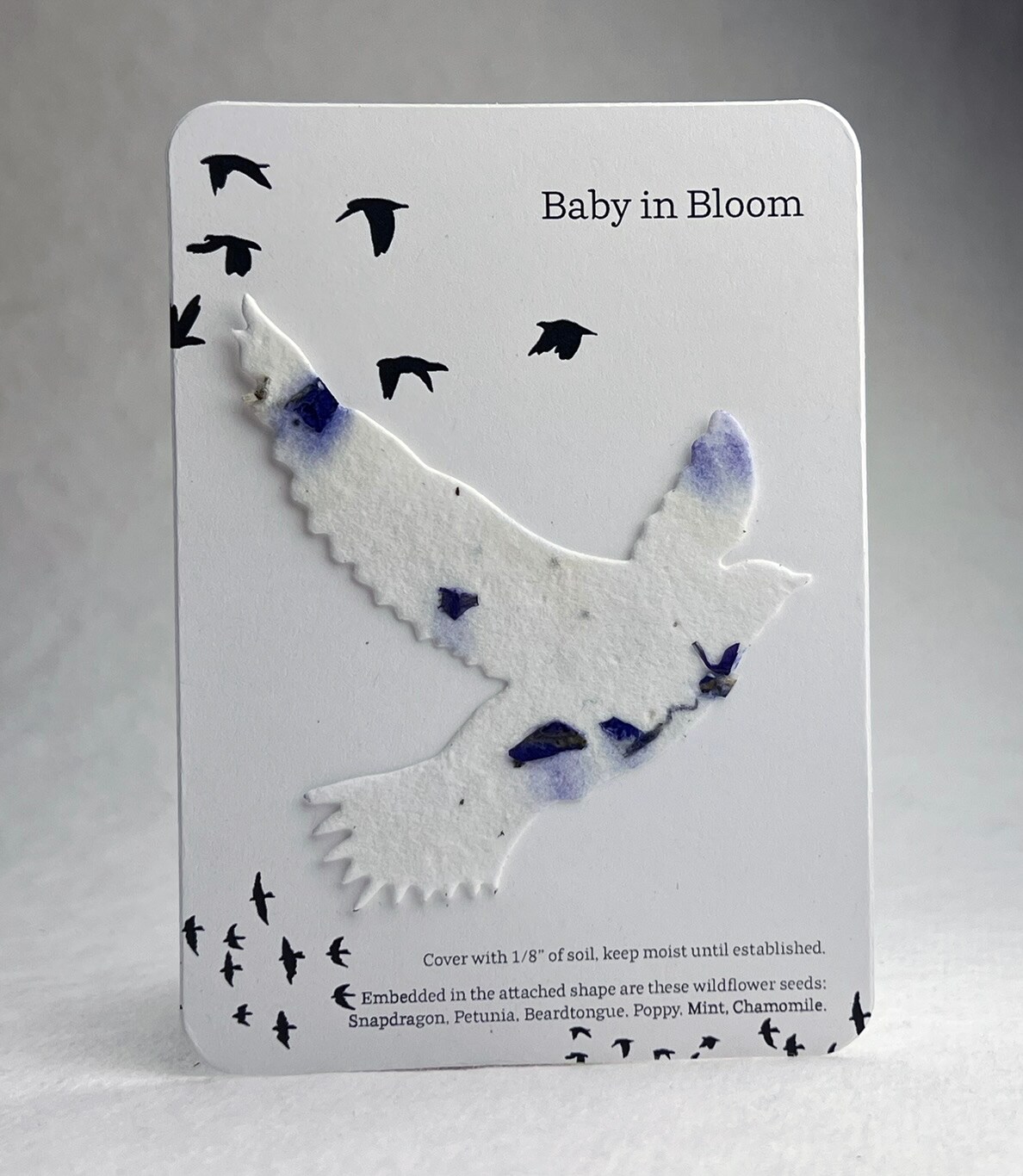 Custom Recycled Cards with Wildflower Seed Paper Bird - Baby Bloom ...
