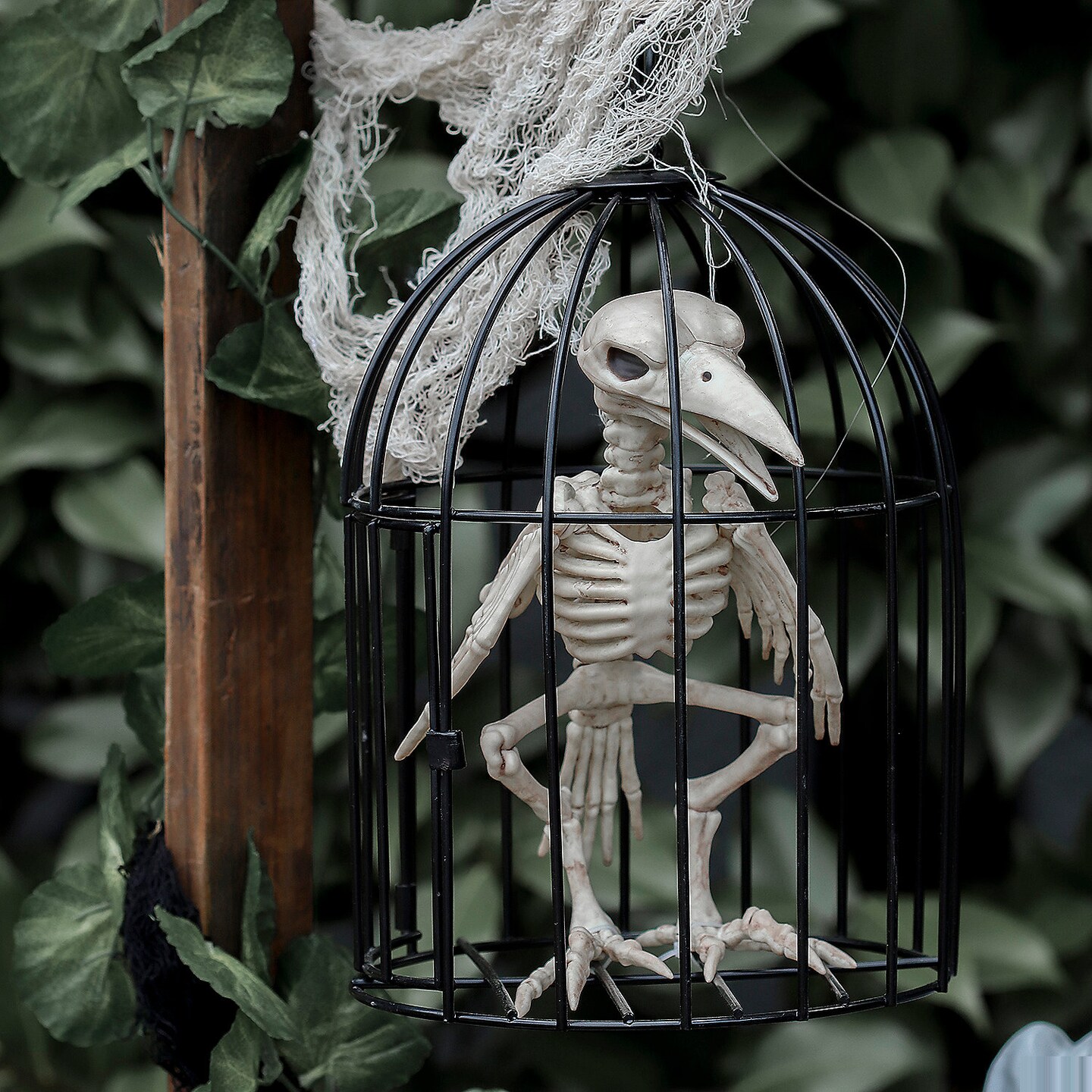 Skeleton Crow In Cage