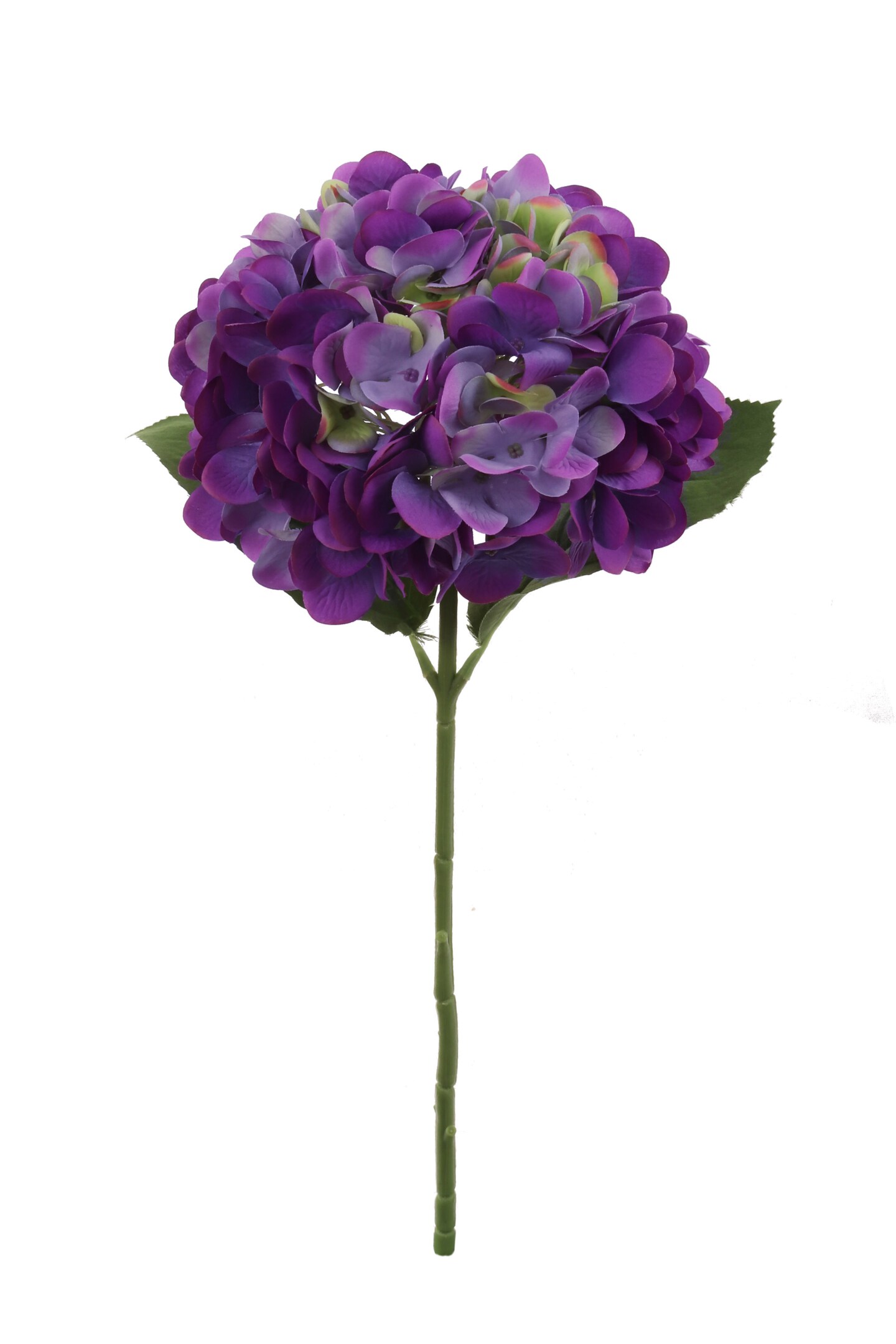 18&#x22; Hydrangea Stem - 6 PACK