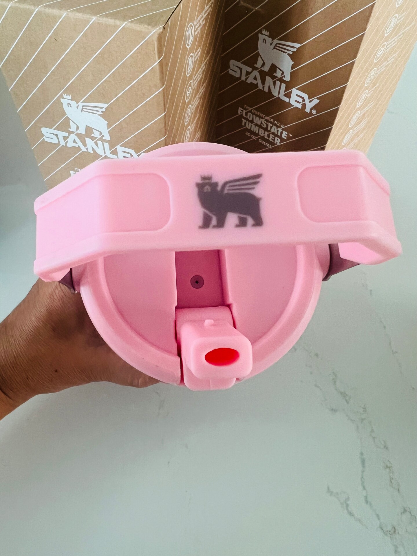 Labubu Stanley 20oz Flip Straw Tumbler Insulated Cup - Pink