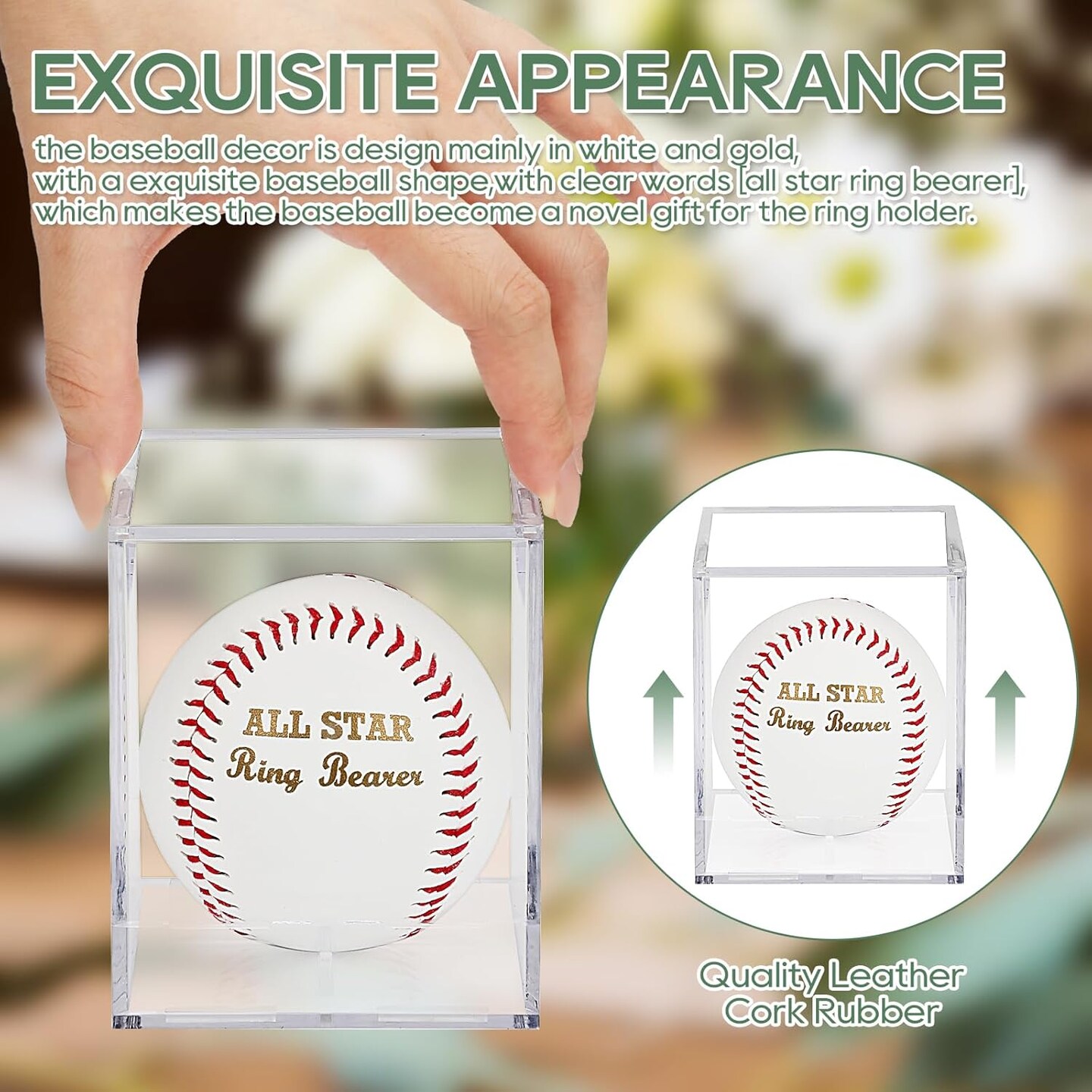 Baseball with Display Case All Star