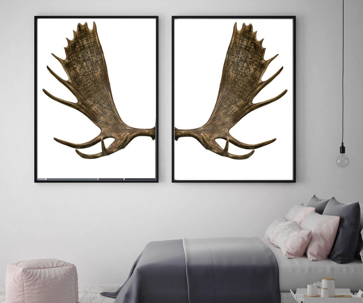 Moose antlers Art for Decor