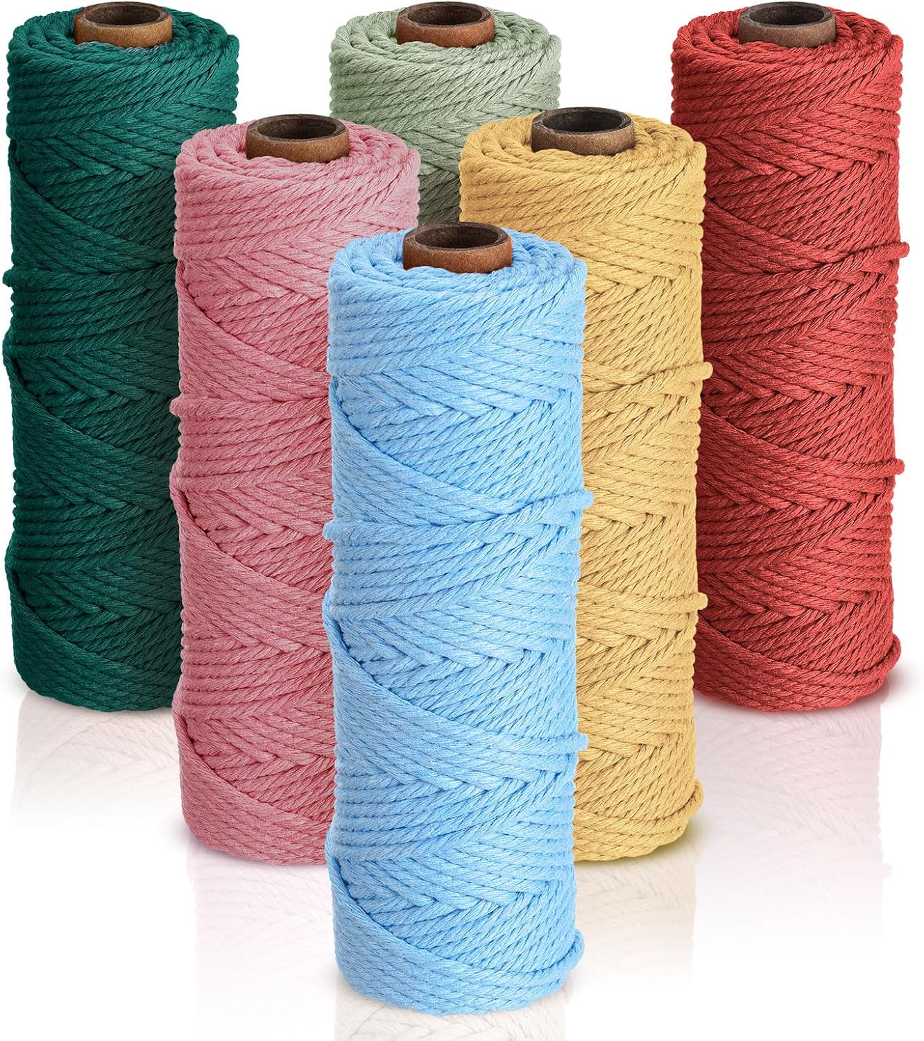 6 Rolls 3mm Macrame Cotton Cord, 328yds, 6 Vivid Colors for Crafts