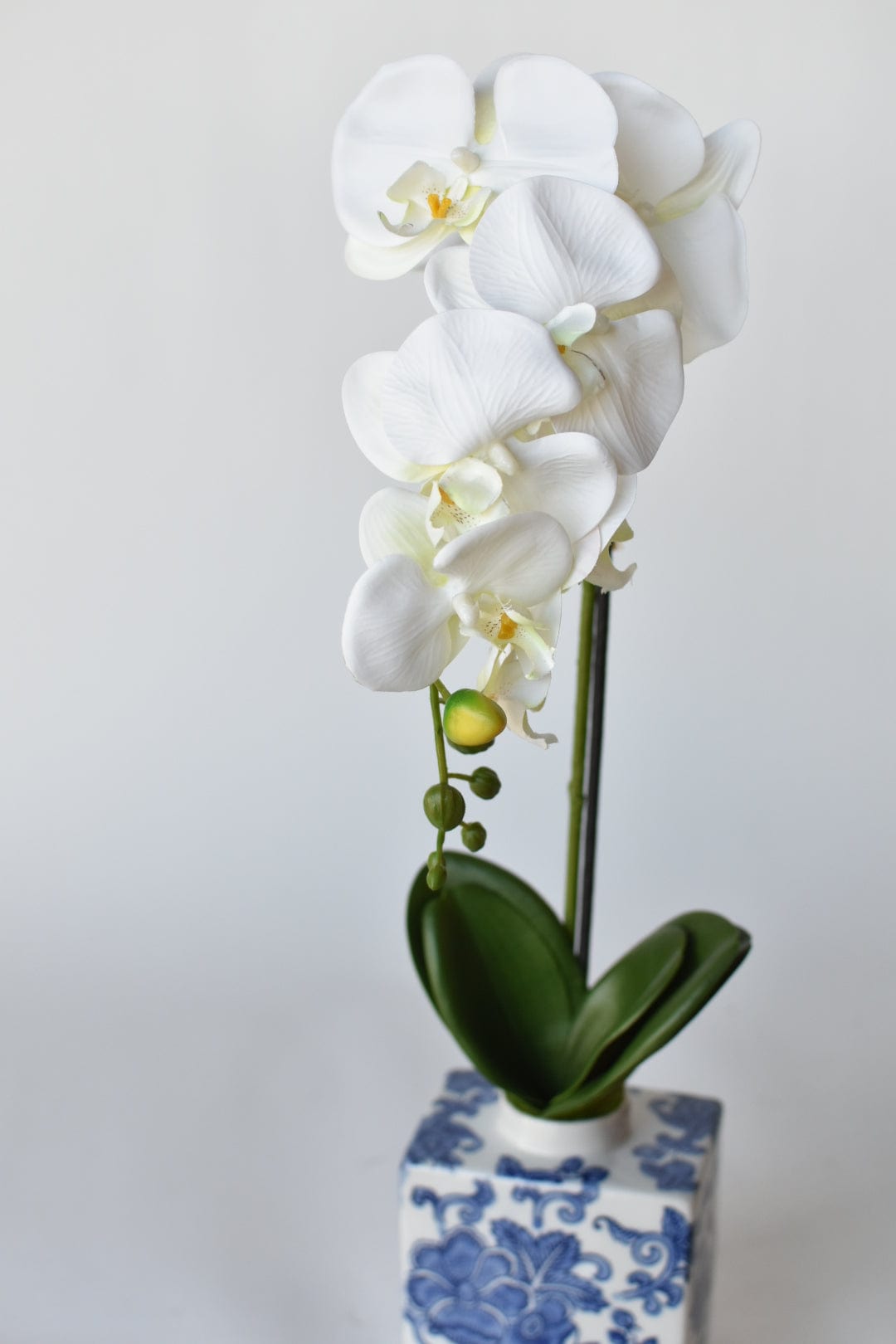 22&#x22; Faux Phalaenopsis Orchid in Blue/White Container - 1OR