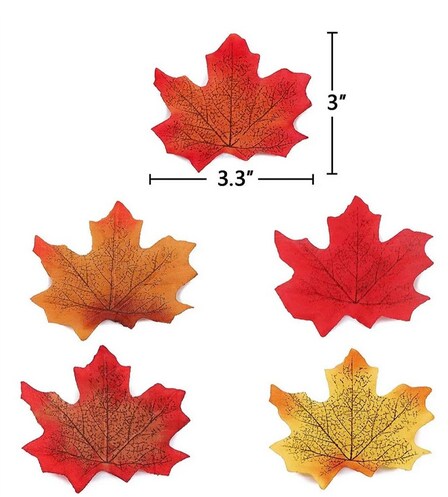 Fall Leaves