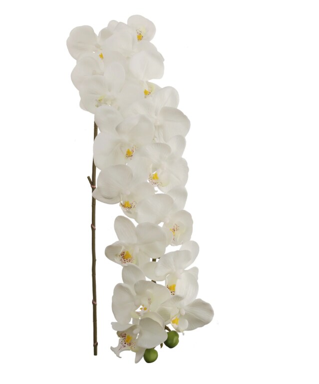 4pcs 49&#x22; Phalaenopsis Orchid Stem - 2025 Spring Collection
