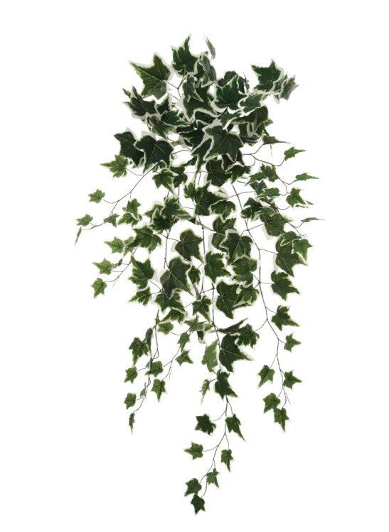 36" Hanging Variegated Ivy Bush – 136 Silk Leaves, Flexible Stems, 2025 Spring Collection
