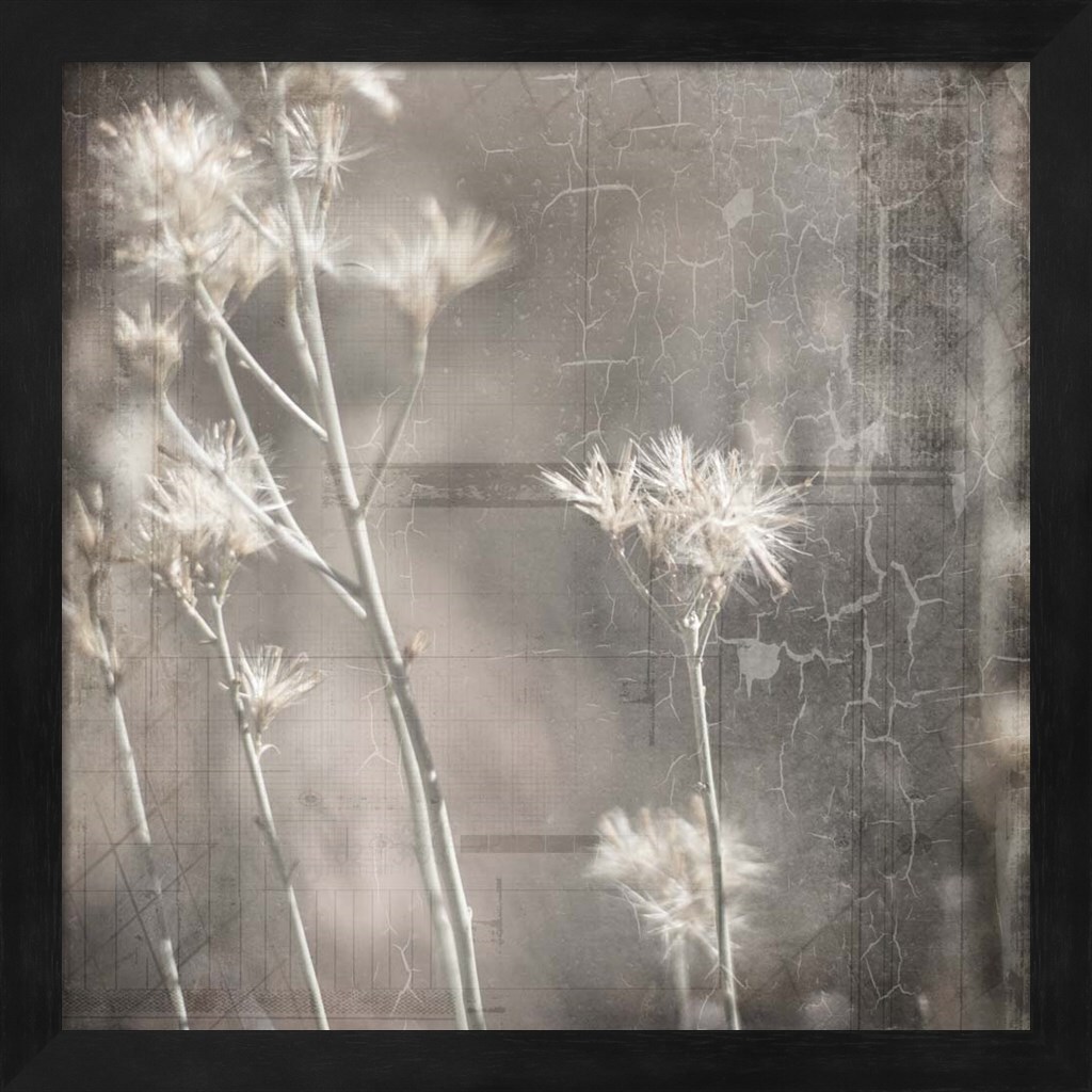 My Farm My Way Photos 7 by LightBoxJournal 13" x 13" Framed Wall Art