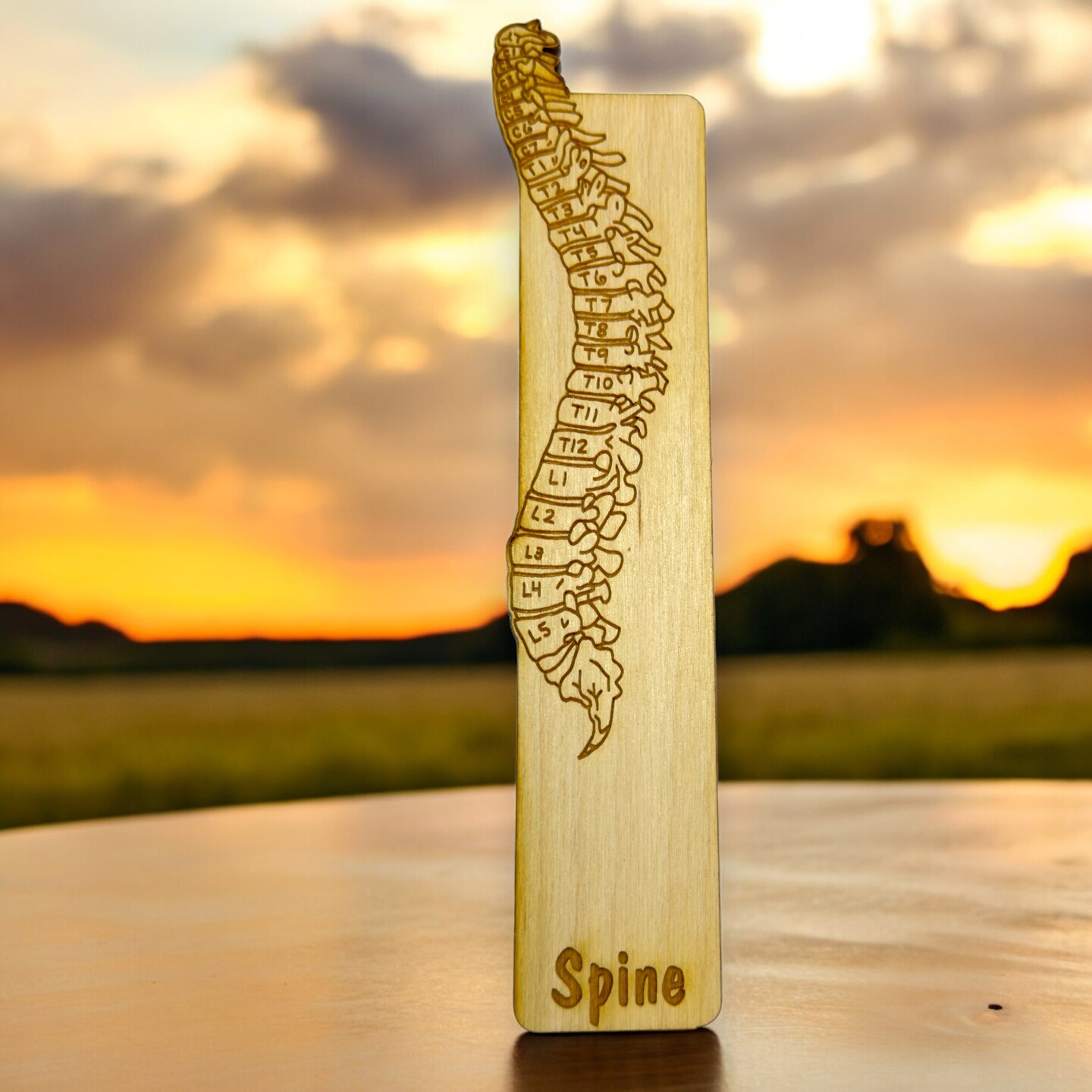 Bookmark - Spine Anatomy - Birch wood