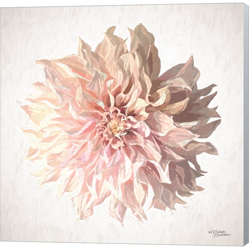 Sweet Dahlia by Michele Norman 12&#x22; x 12&#x22; Canvas Wall Art