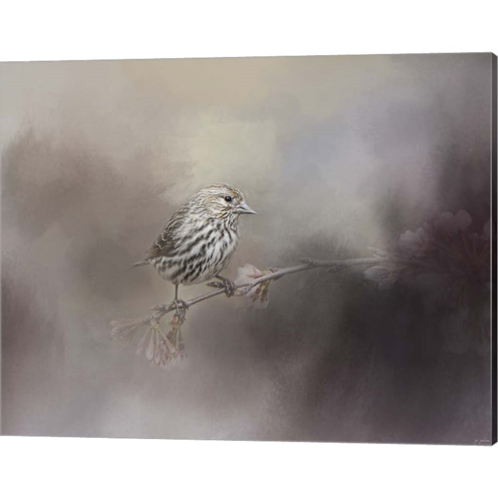 Just A Whisper of Feathers by Jai Johnson 20" x 16" Canvas Wall Art