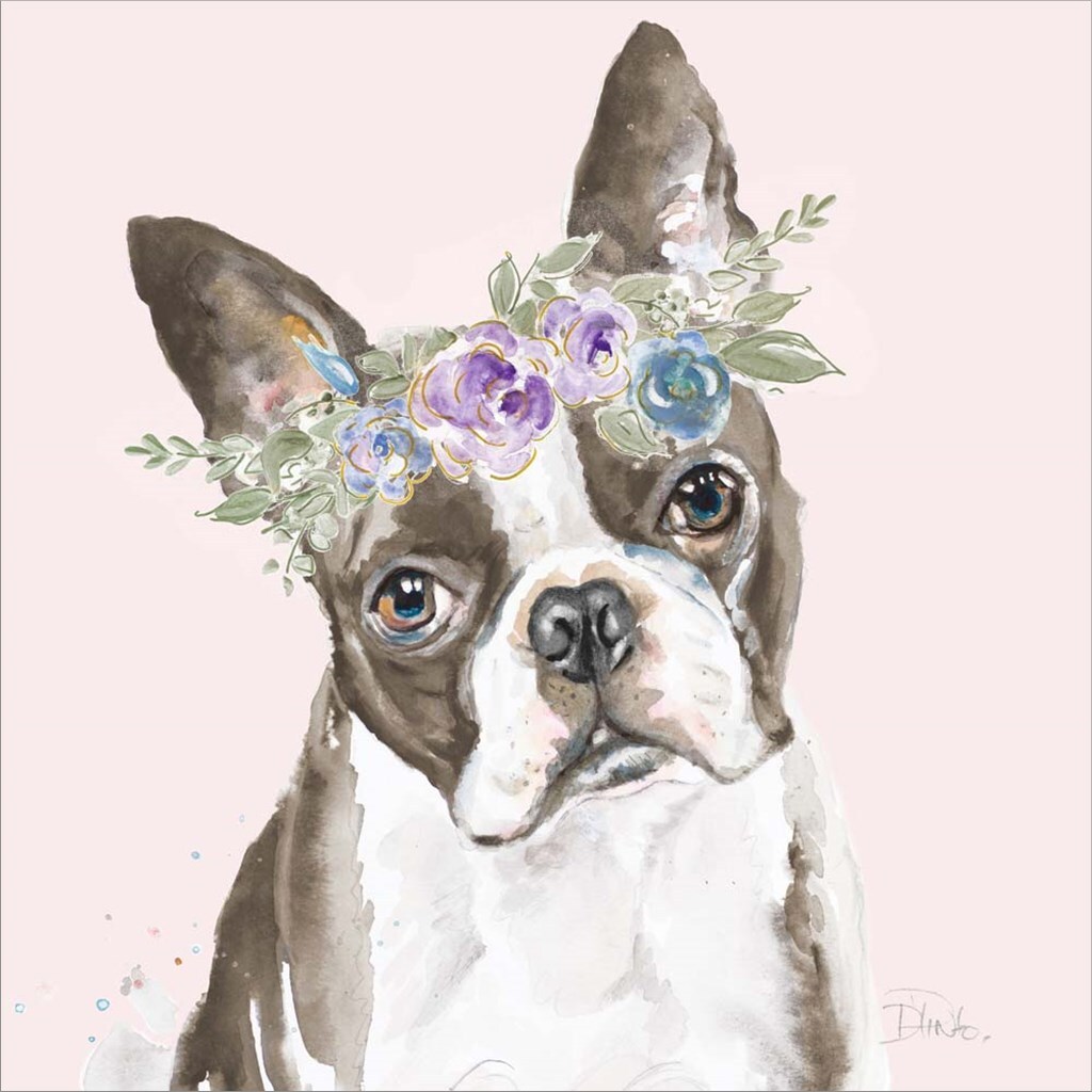 Flower Crown Pet III by Patricia Pinto 12" x 12" Canvas Wall Art