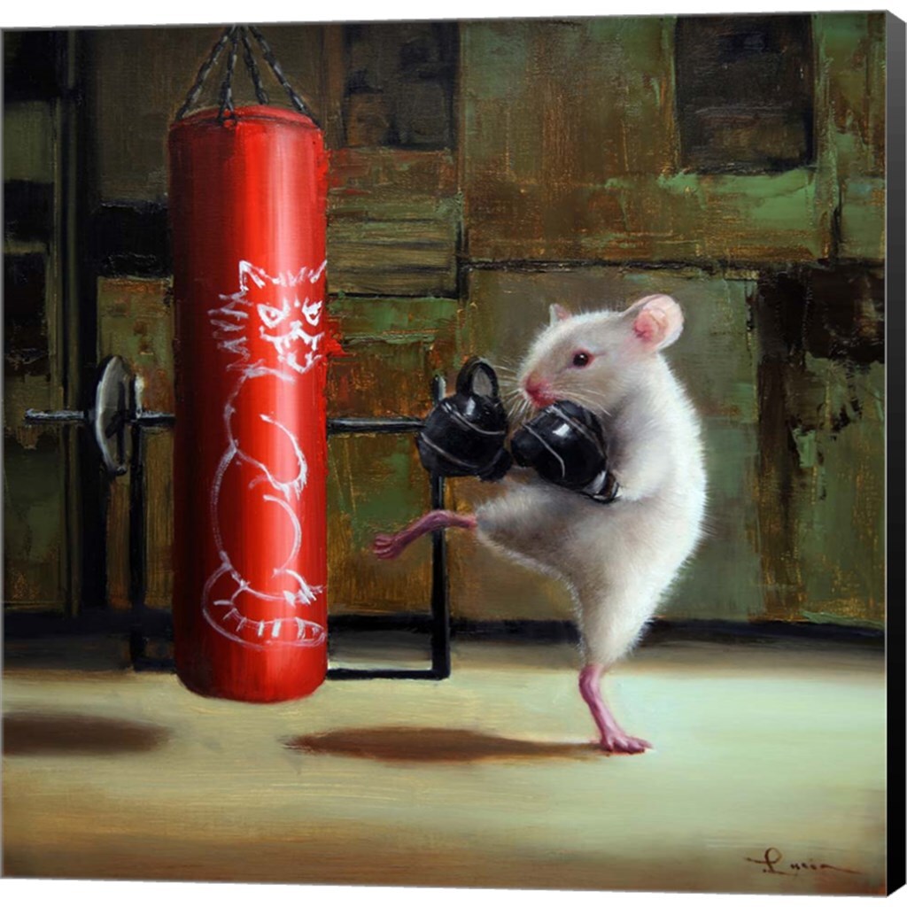 Gym Rat by Lucia Heffernan 12&#x22; x 12&#x22; Canvas Wall Art